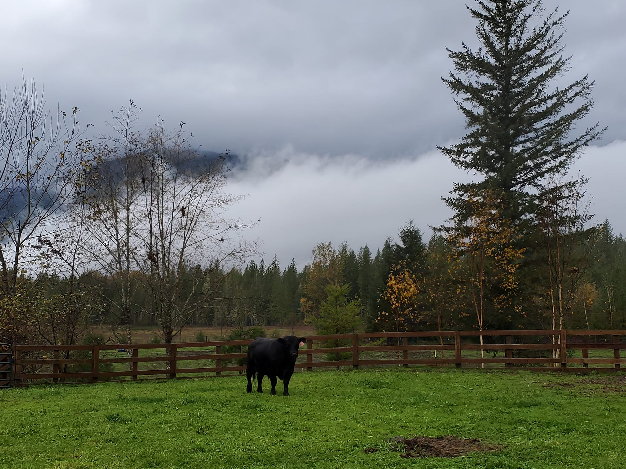 American Alps Ranch | Marblemount WA