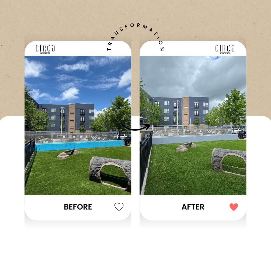 Circa Apartments added a new photo — at... - Circa Apartments