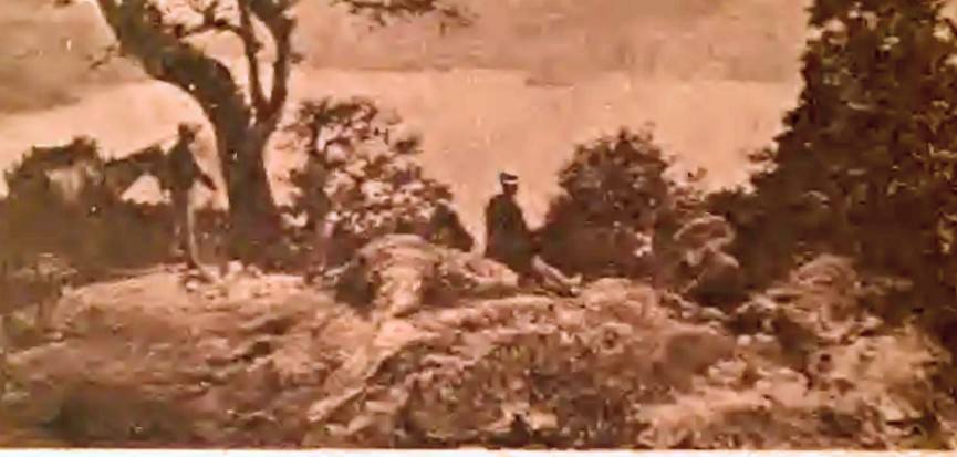 Exposición Guatemala - 1875. Fotografías de Eadweard Muybridge Por