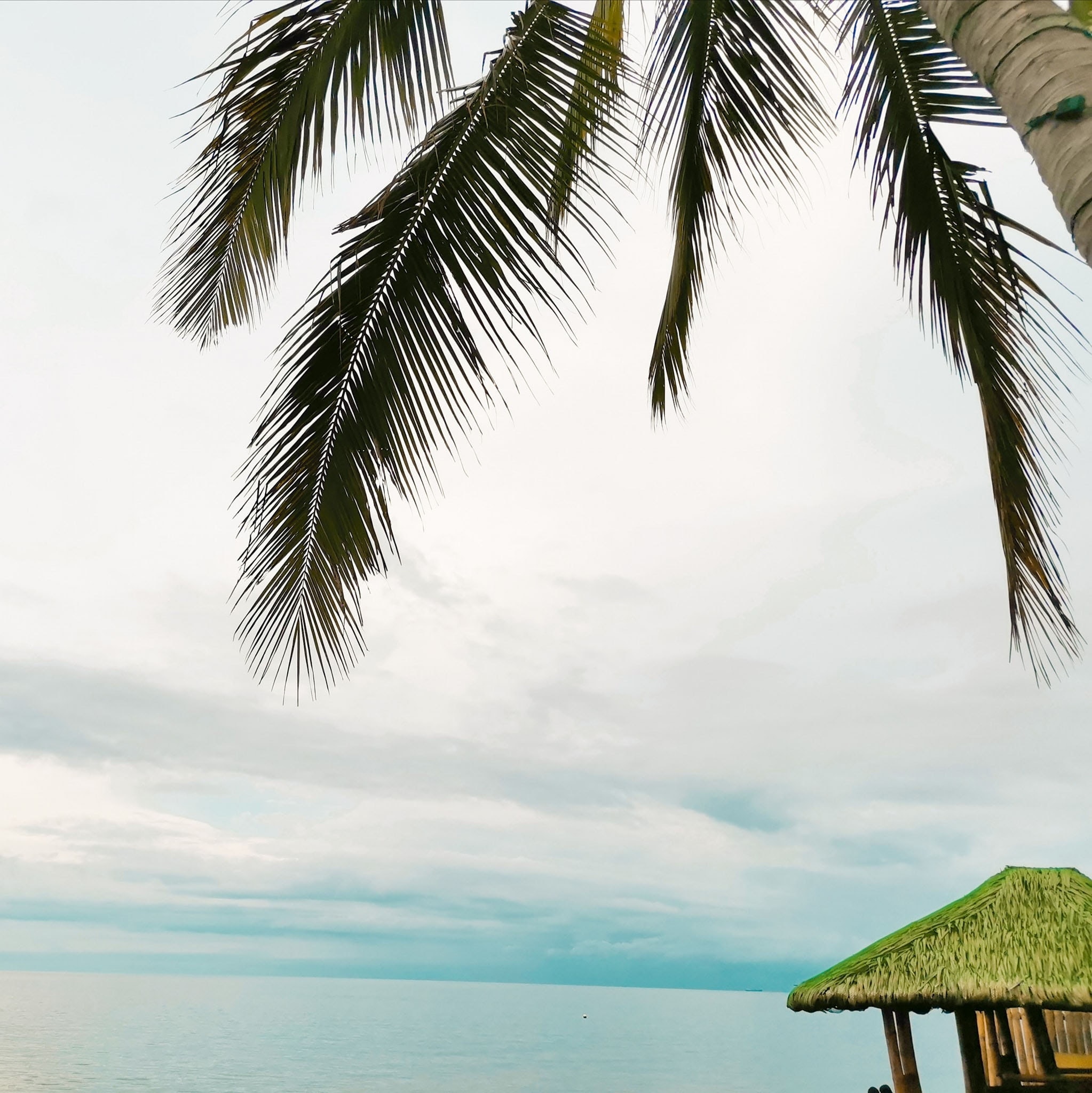 We are... - Rosma Pebbled Cove Resort San Joaquin Iloilo | Facebook