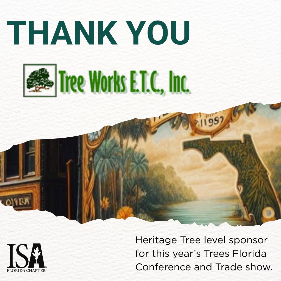 Florida Chapter ISA Tree Climbing Competition