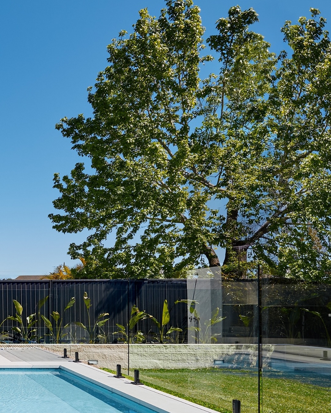 COLORBOND steel - This poolside haven is elevated by a... | Facebook