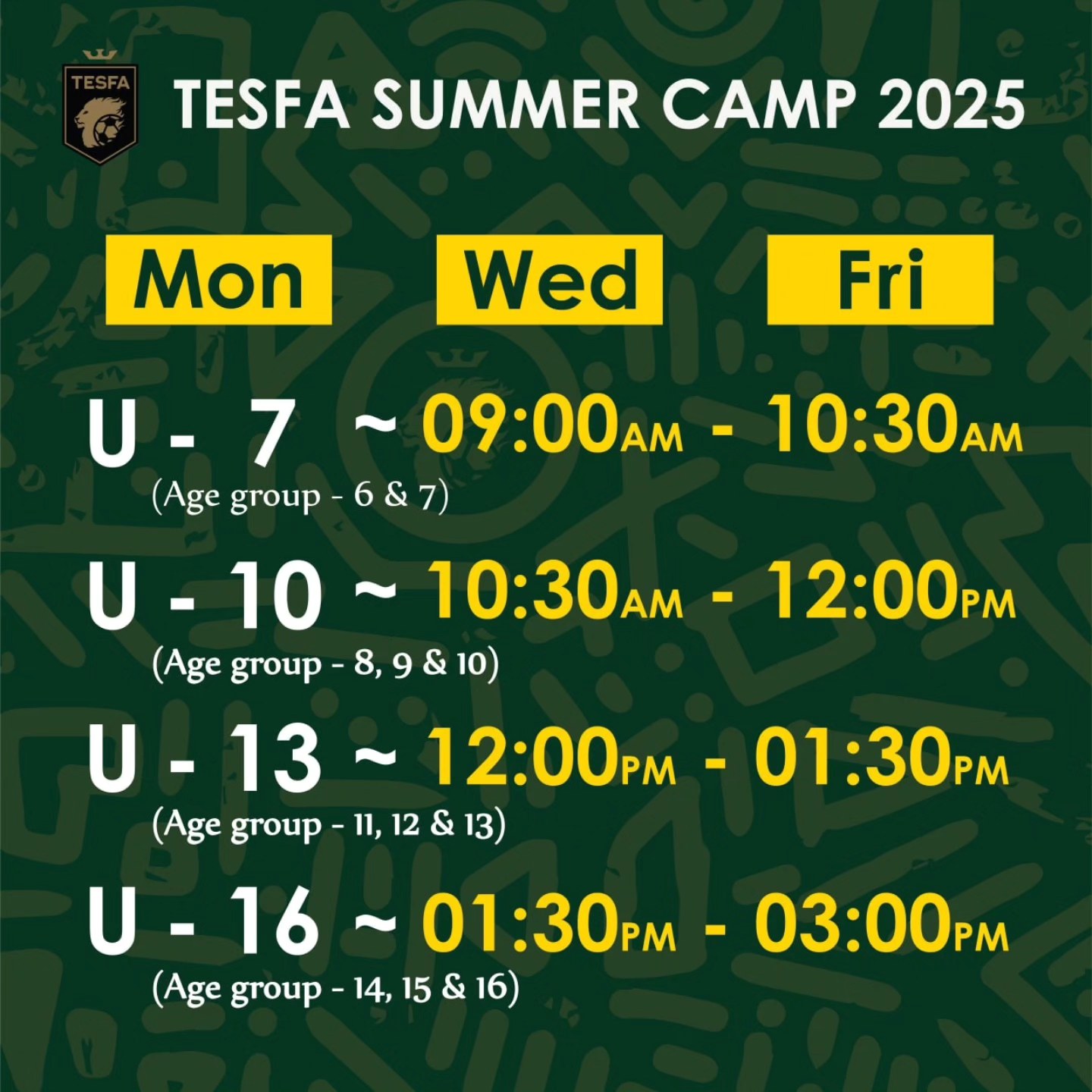 TESFA Football Academy | Addis Ababa