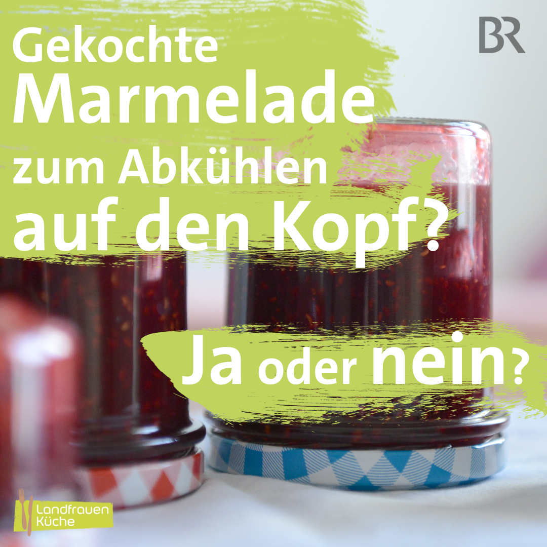 eimer mit deckel 5 liter Trevendo und Kunststoffgriff, lebensmittelecht - luftdicht - stabil - stapelbar Version:200 ml Delikatessen-Glas 995