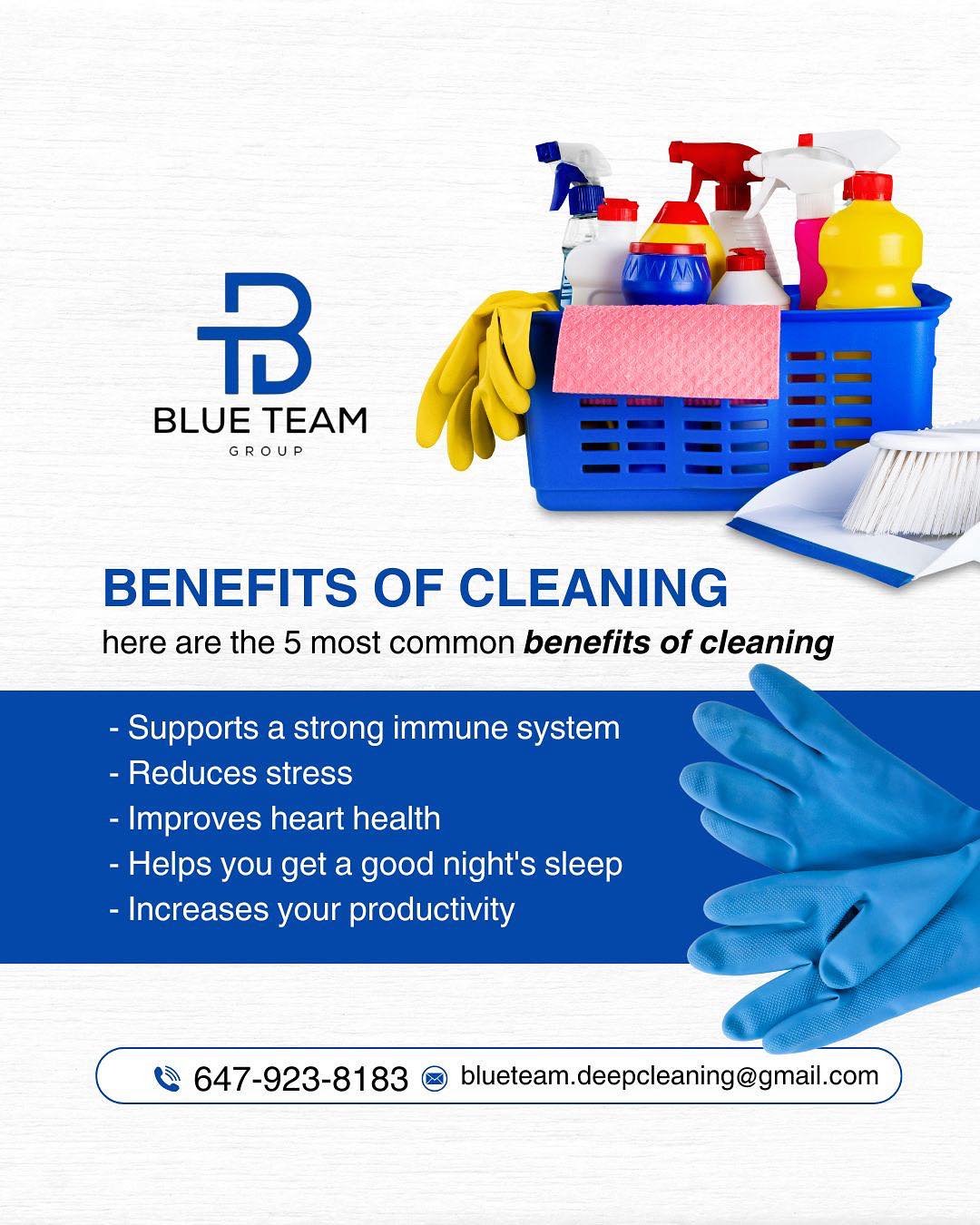 Blue Team Deep Cleaning