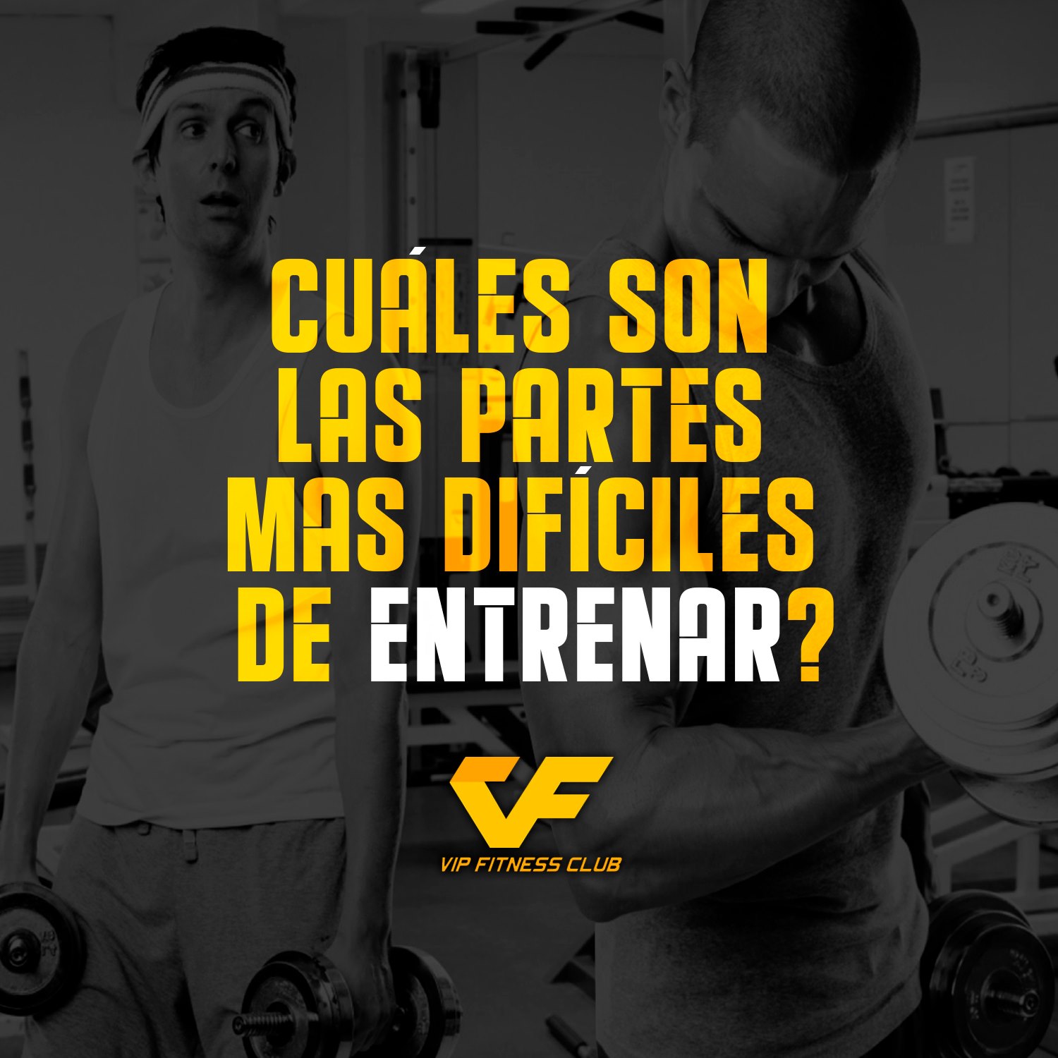 Nos gustaría saber cuál o... - Vip Fitness Club - San Miguel | Facebook