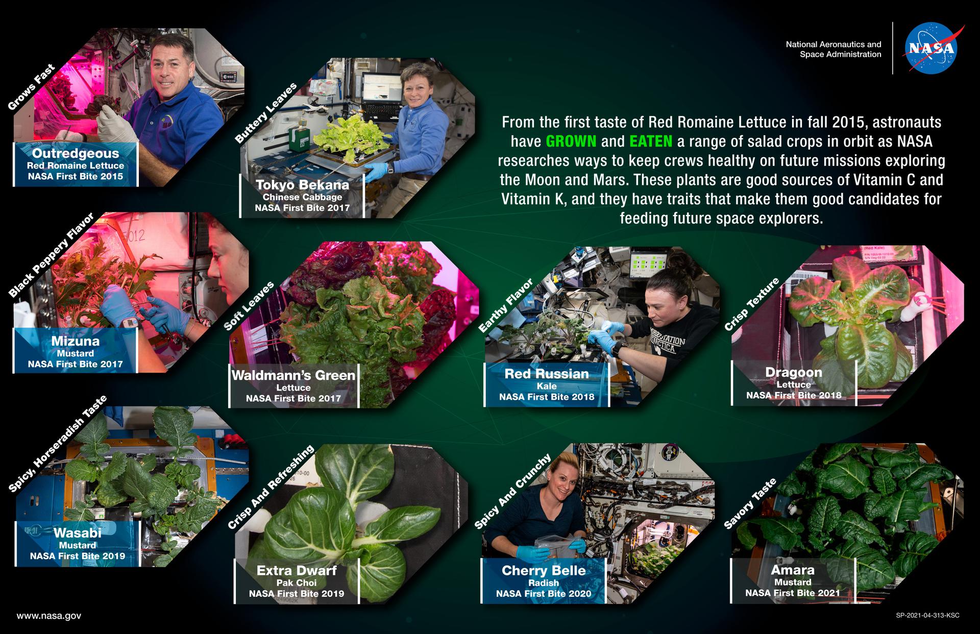 Mars Base 1 Botany Lab
