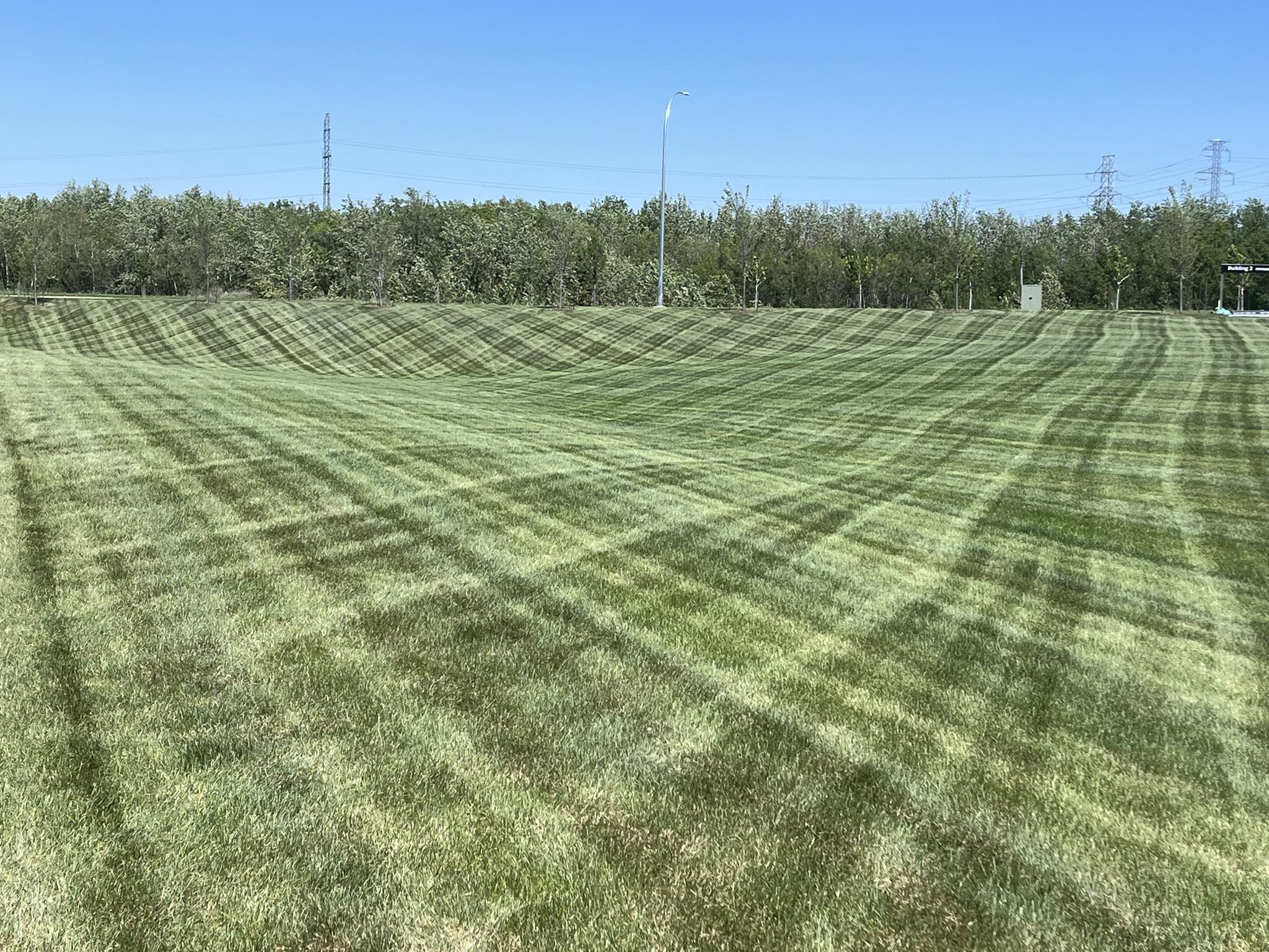 Go Short Lawn Care | Edmonton AB