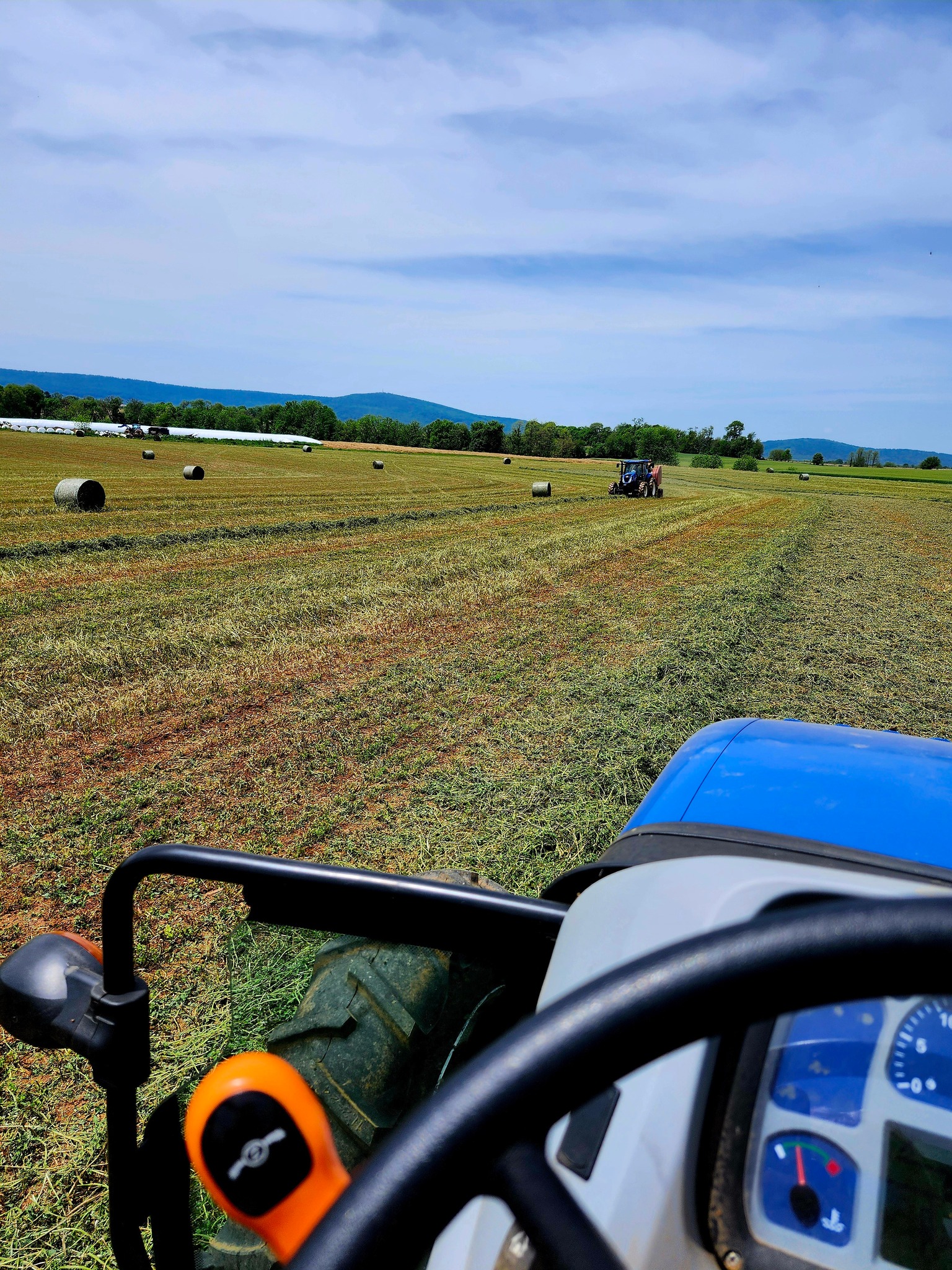 Walnut Ridge Farm /... - Walnut Ridge Farm / Moo Cow Creamery