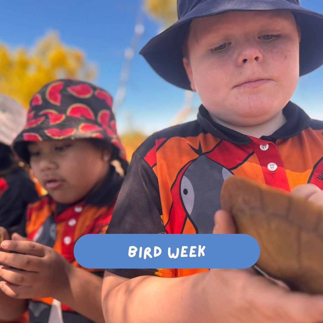 🦜 Bird Week turned 9 this year!... - Wiluna Martu Rangers | Facebook