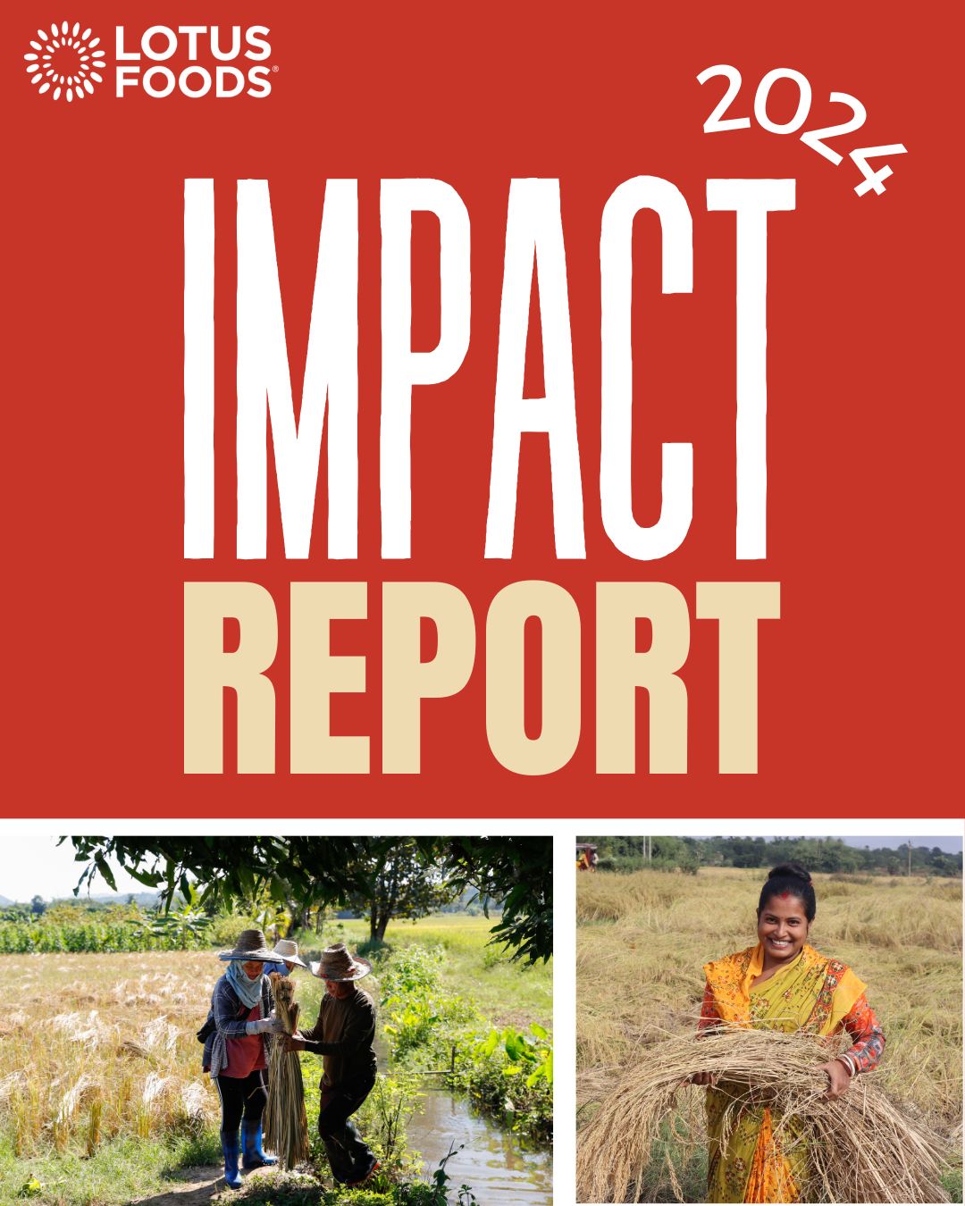 Lotus - This #EarthMonth, we’re delighted to share our 2024 Impact ...