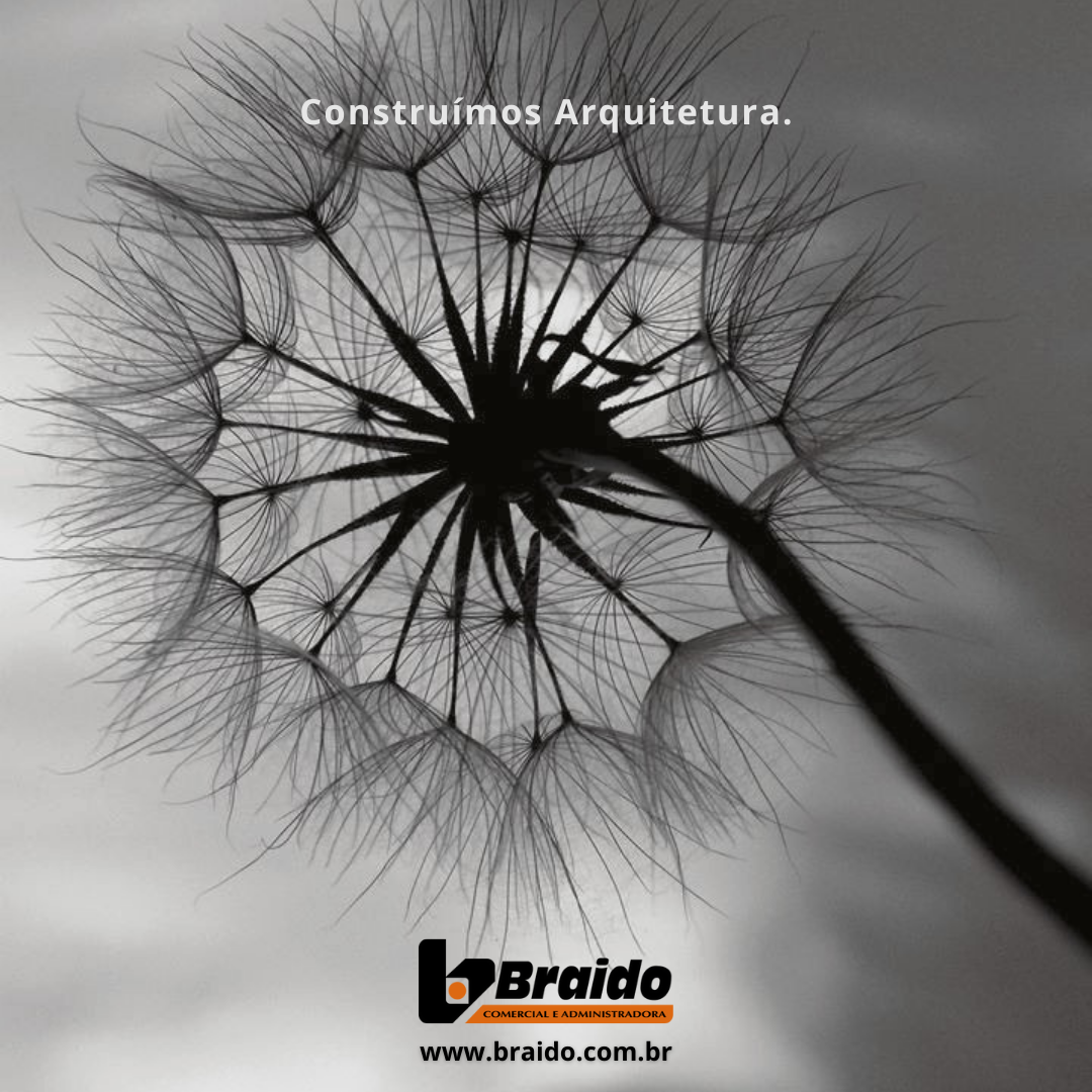 BRAIDO - A mais de 50... - Braido Comercial e Administradora | Facebook