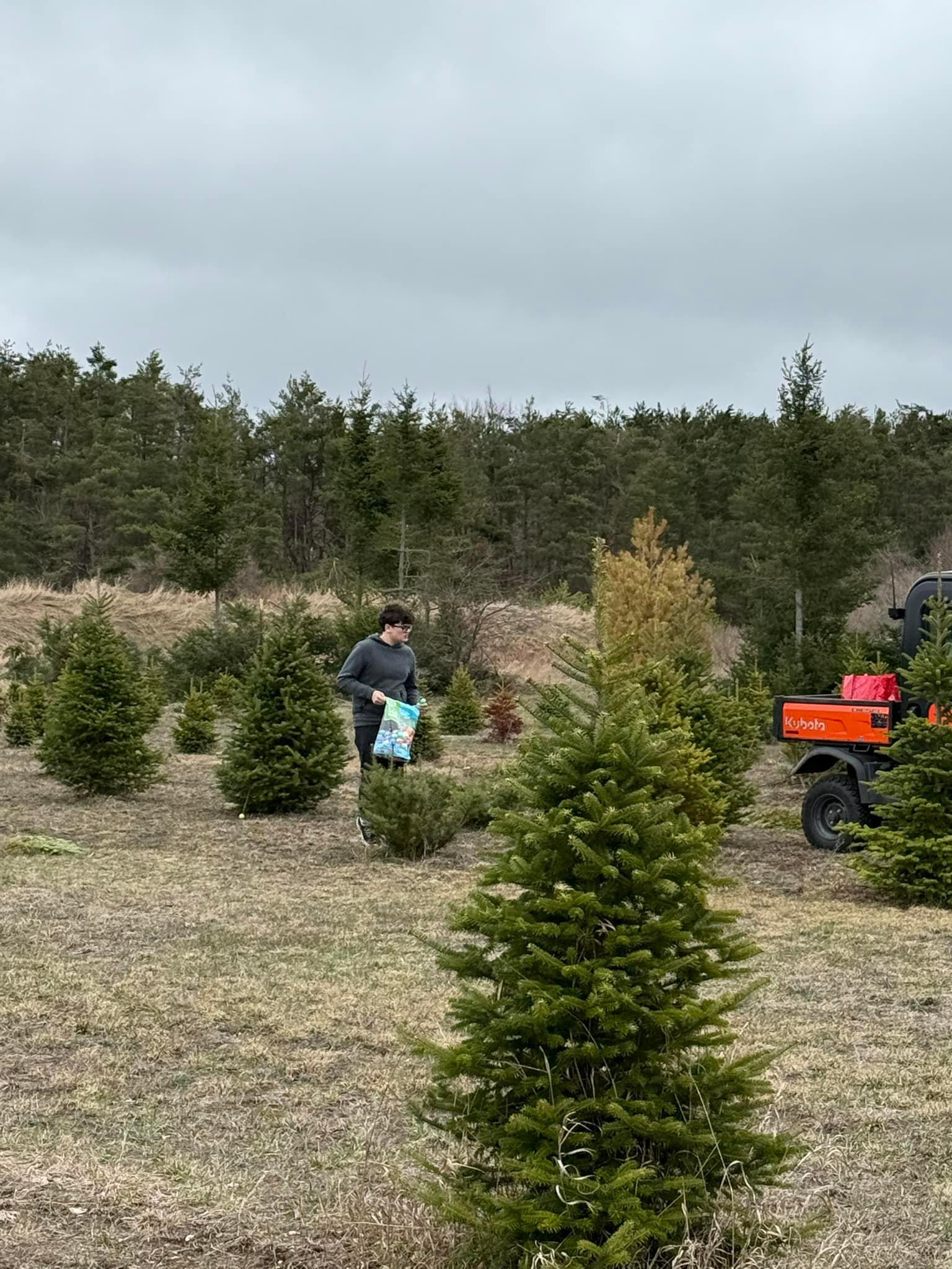 Bosma's Christmas Tree Farm | Harbor Springs MI
