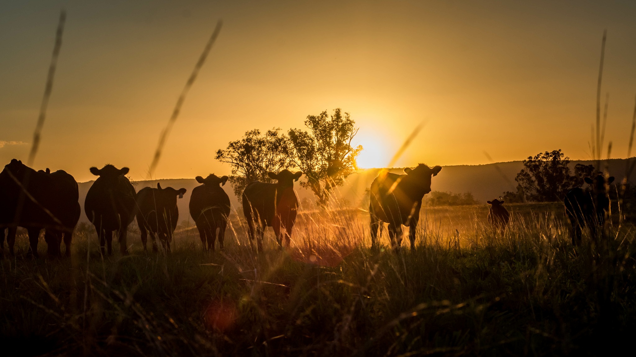 Hawk Ridge Farm | Saint Charles IA