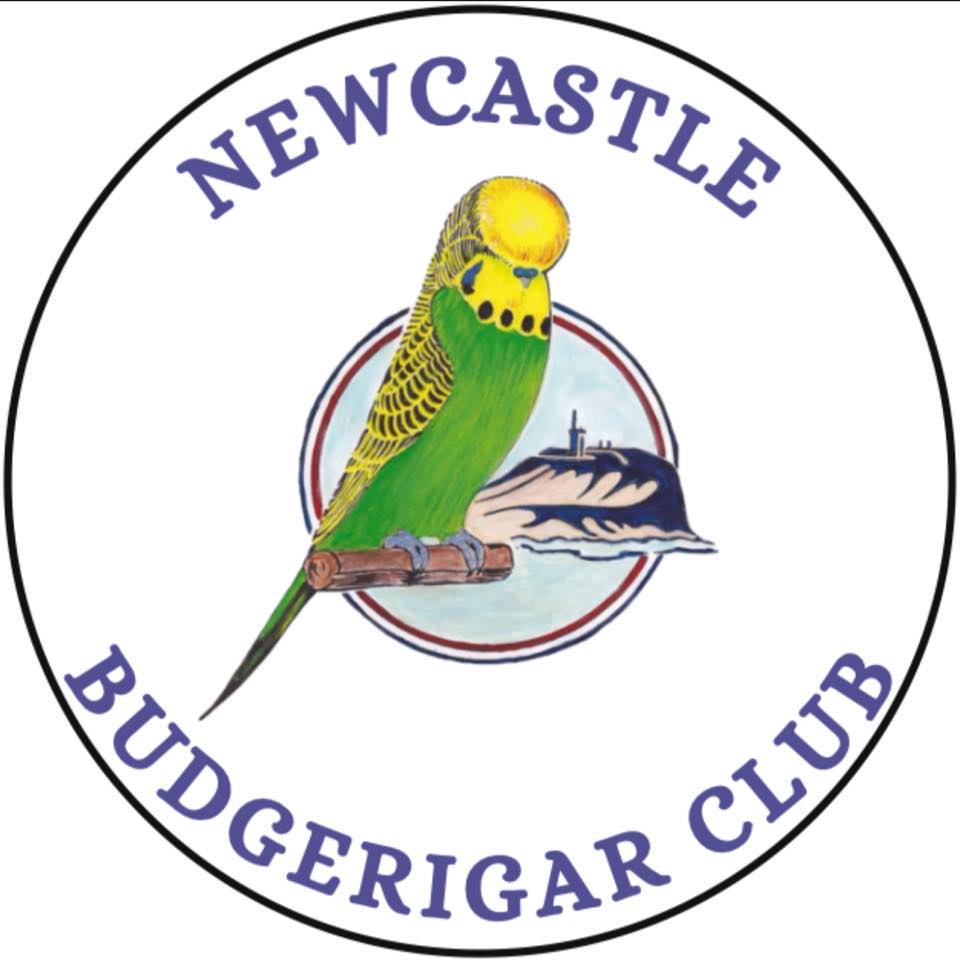 Congratulations to NBC... - Newcastle Budgerigar Club / AU | Facebook