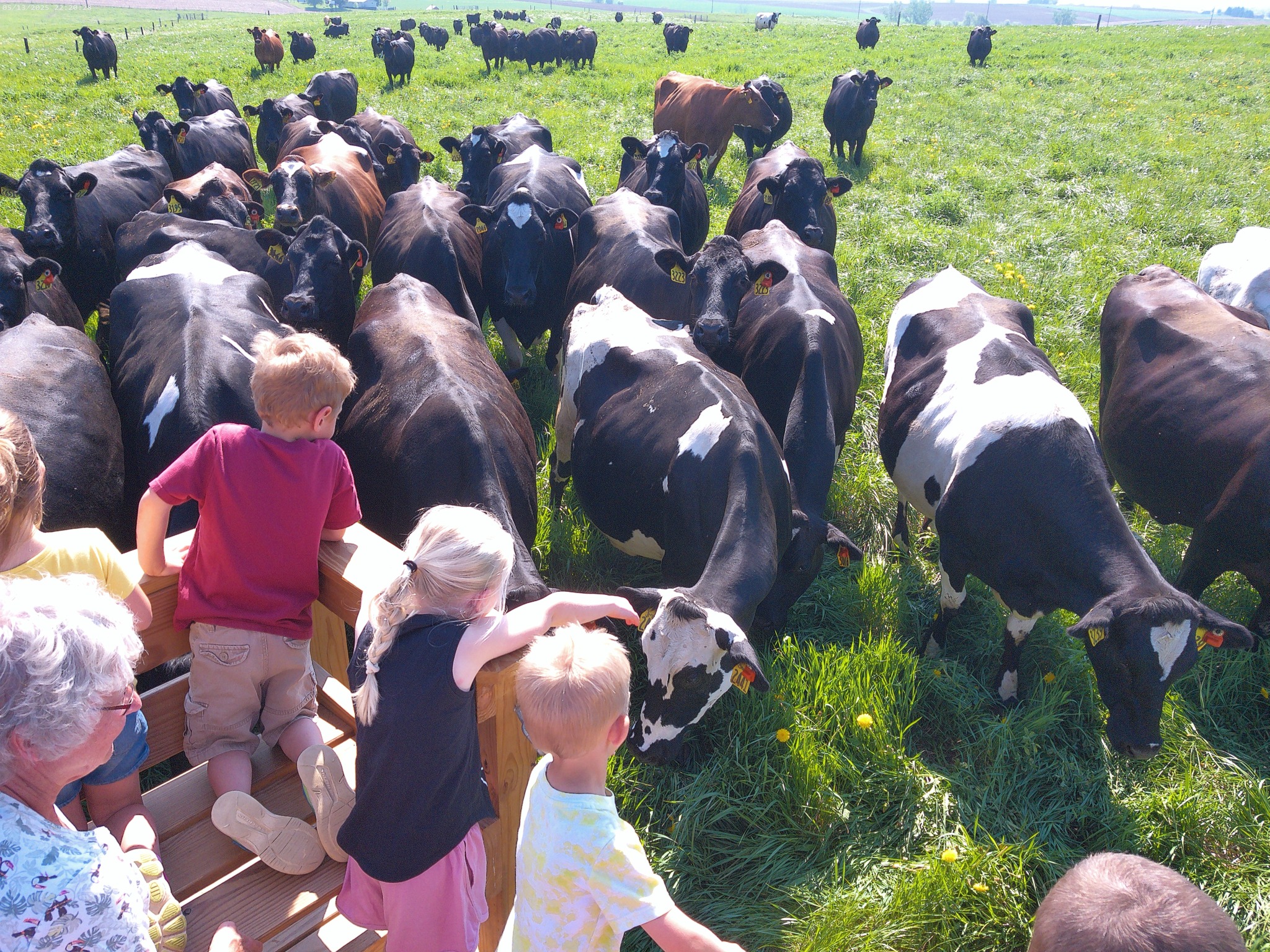 Tranel Family Farms LLC | Cuba City WI