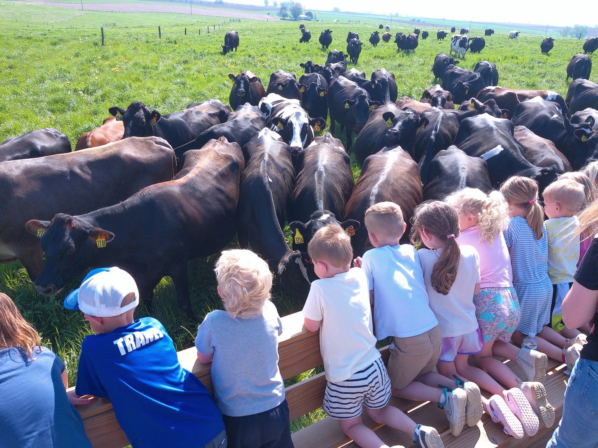 Tranel Family Farms LLC | Cuba City WI