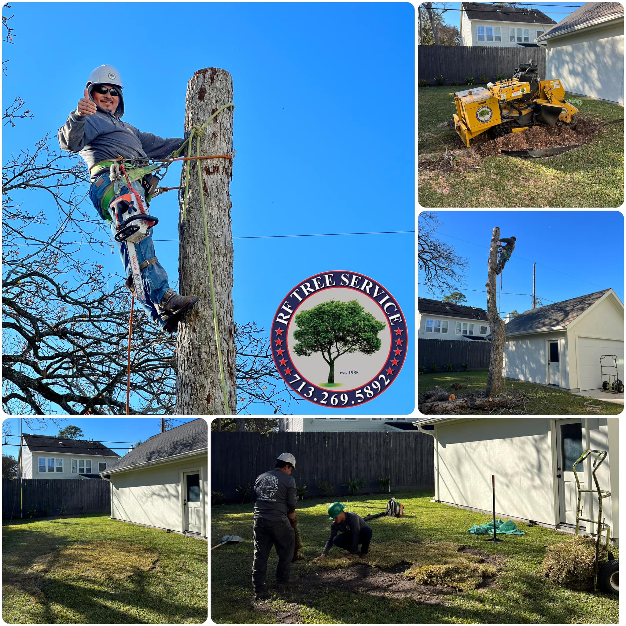 RF Tree Service | Houston TX