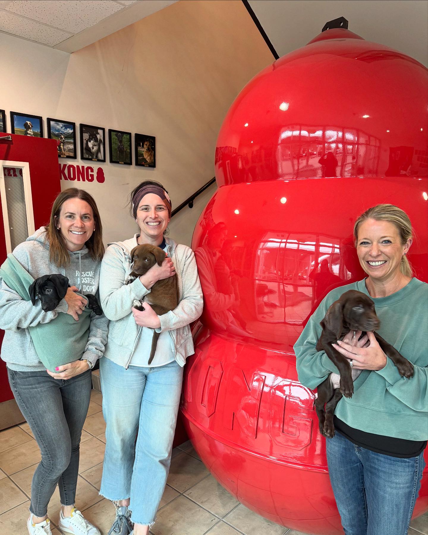 Mile High Labrador Retriever Mission