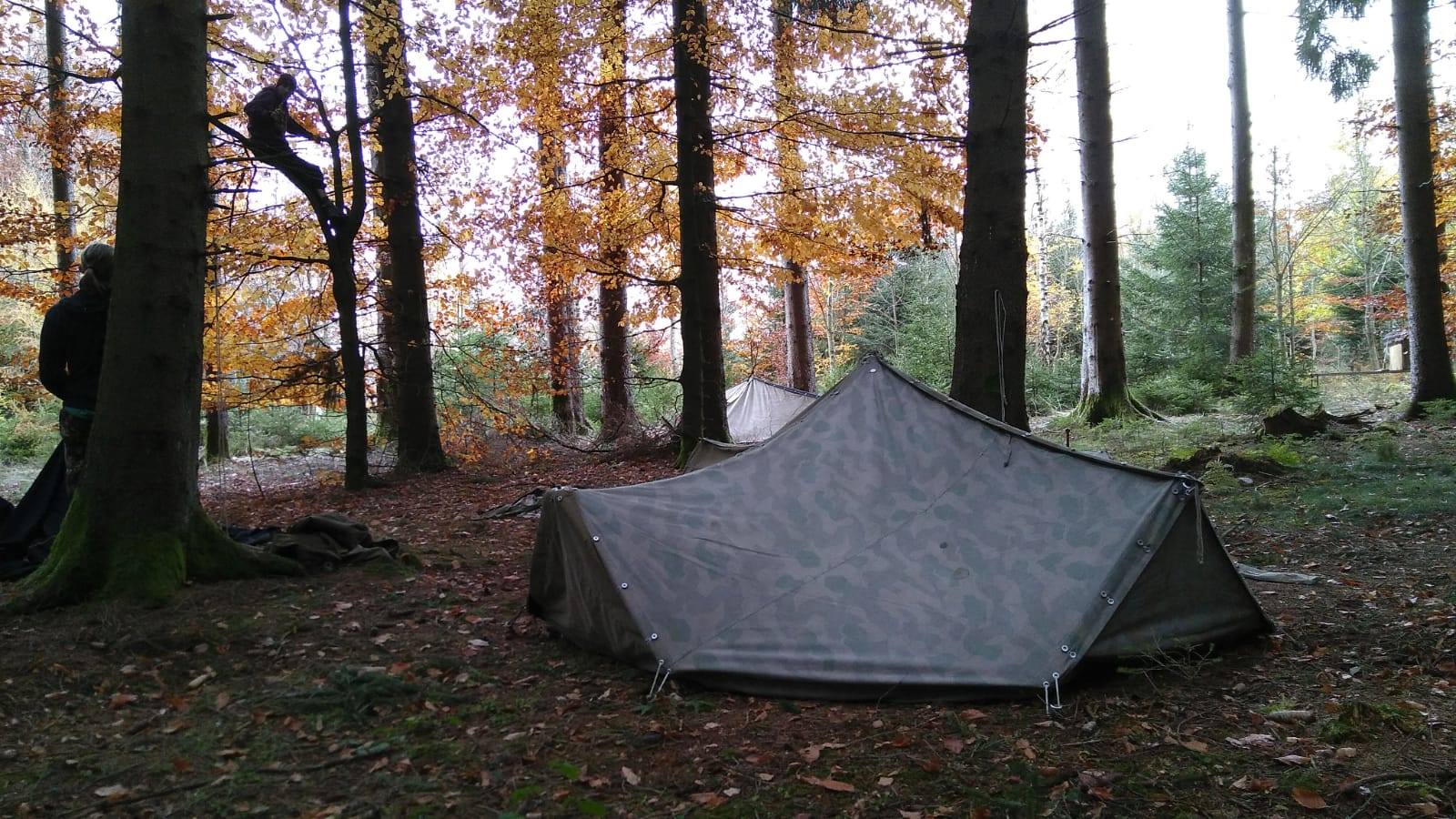 mk fort knox 3.5 mann zelt MK-Angelsport Dome 3,5 – Großes Karpfenzelt mit 10.000 mm Wassersäule, 4-teiliger Aluminium-Frame, Multifunktionstür I inkl. Bodenplane & Gummihammer Sport & Freizeit TENT STAKES:YES STAKES (set of 9) LEROY MERLIN ESPAÑA NETRIVALS Dachzelte von Outwell -