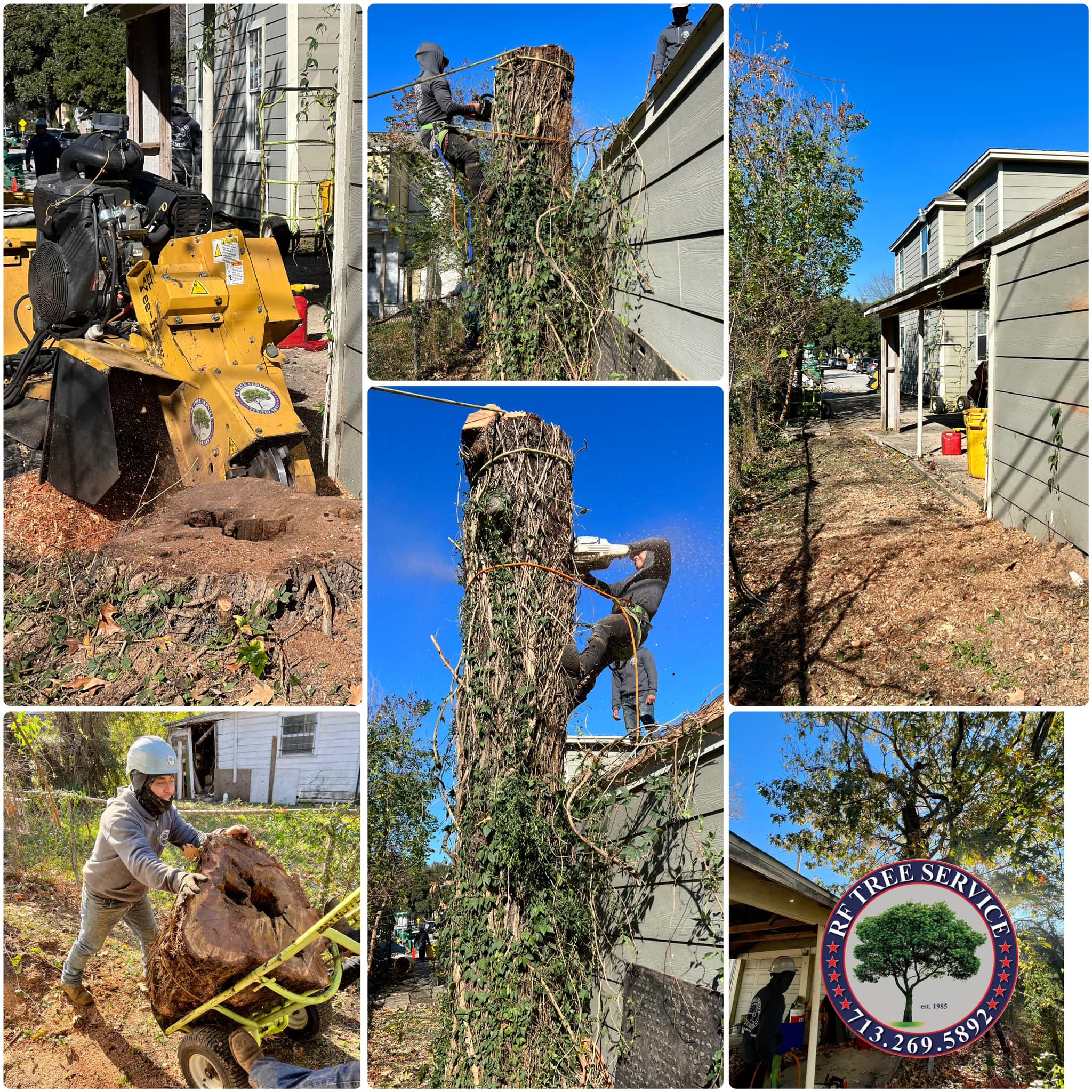 RF Tree Service | Houston TX