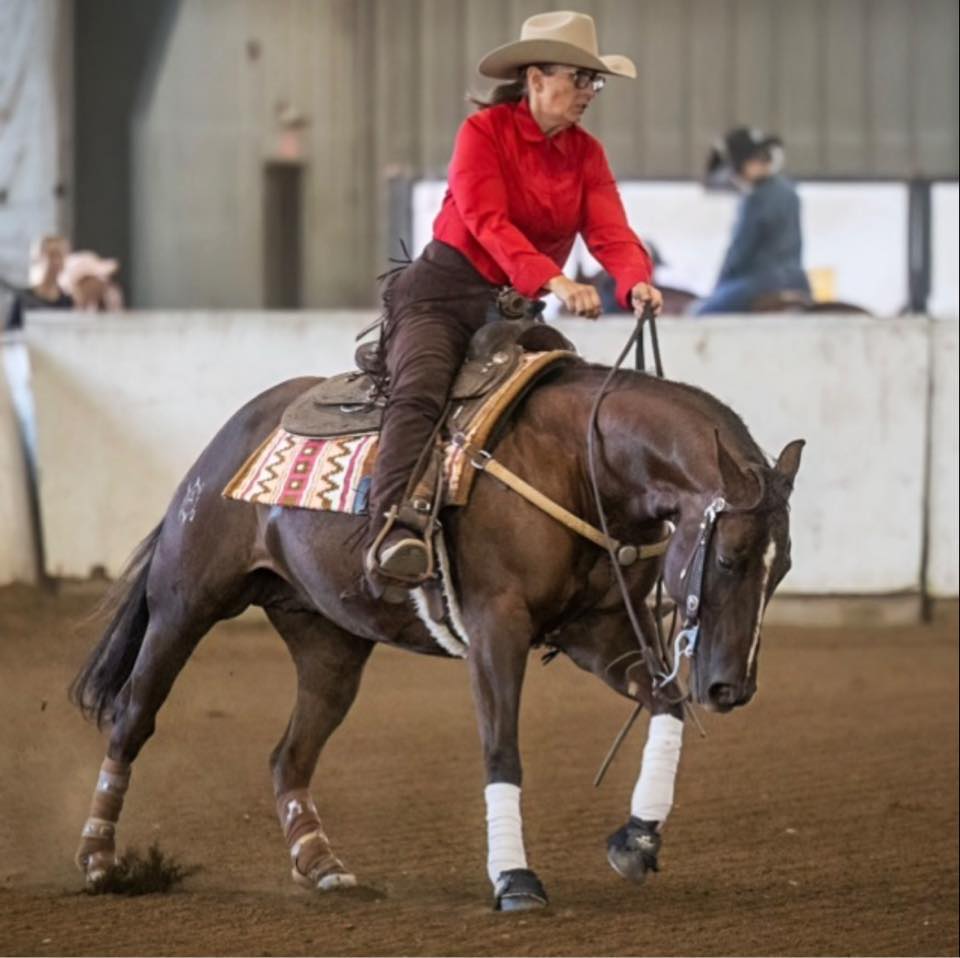Anderson Performance Horses... - Anderson Performance Horses