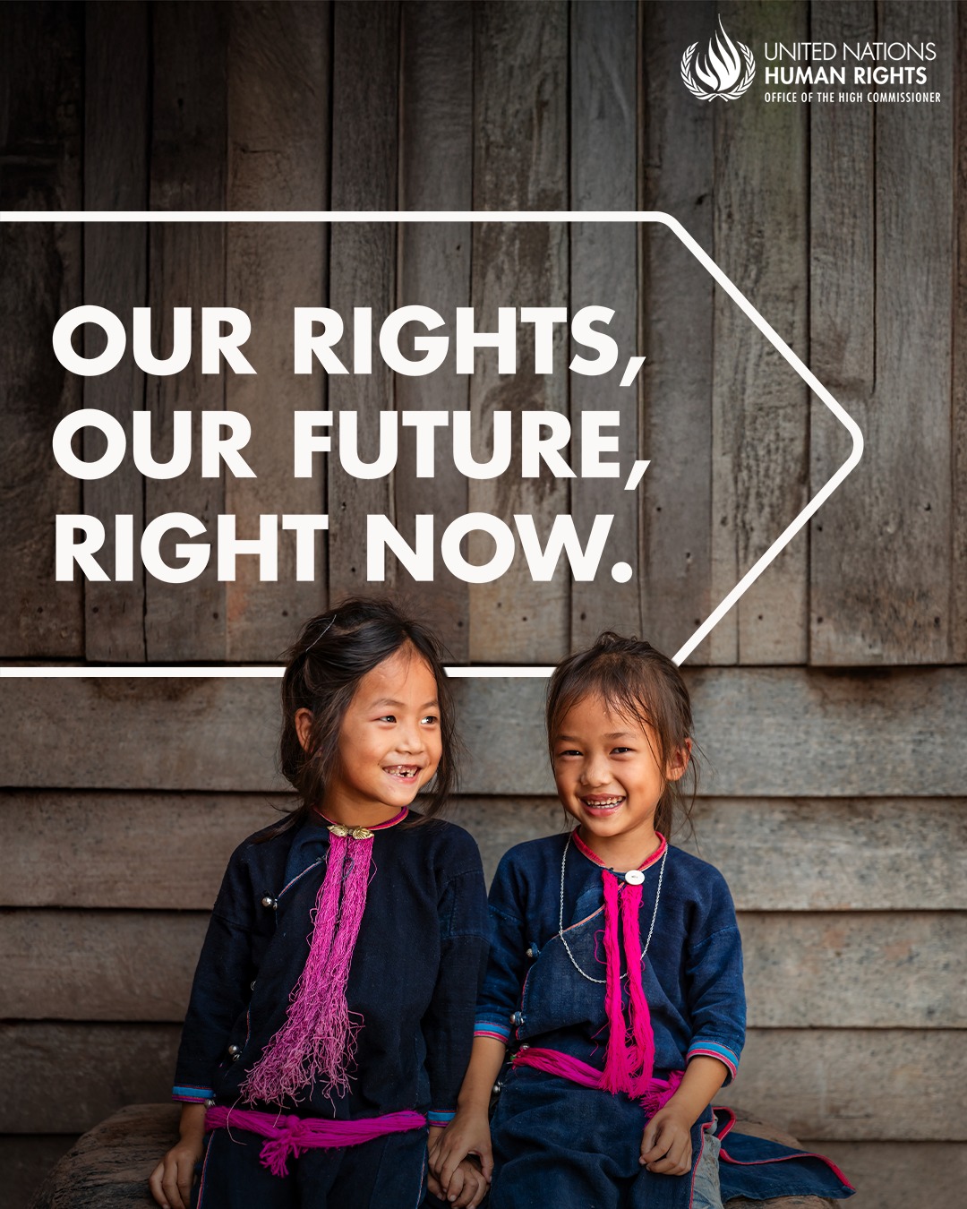 United Nations Publications - Today is #HumanRightsDay! 🌍 The 76th ...