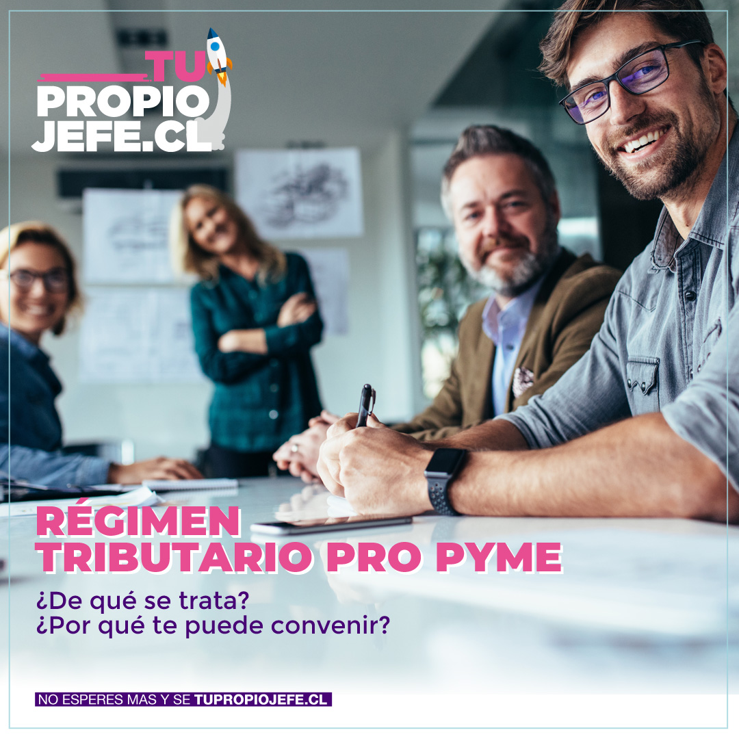 Tu - Dirigido a micro, pequeñas y medianas empresas, Pro Pyme es un ...