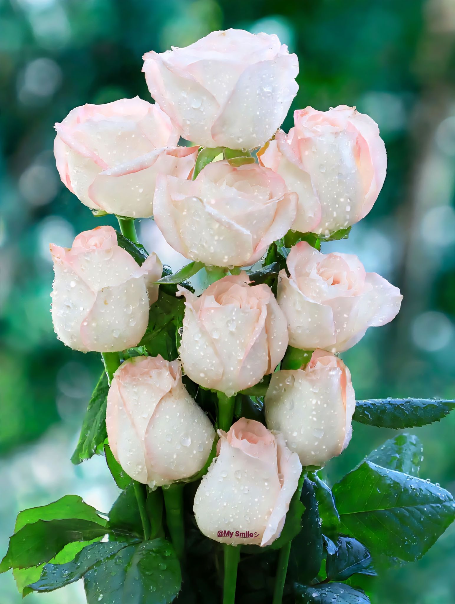 Good morning