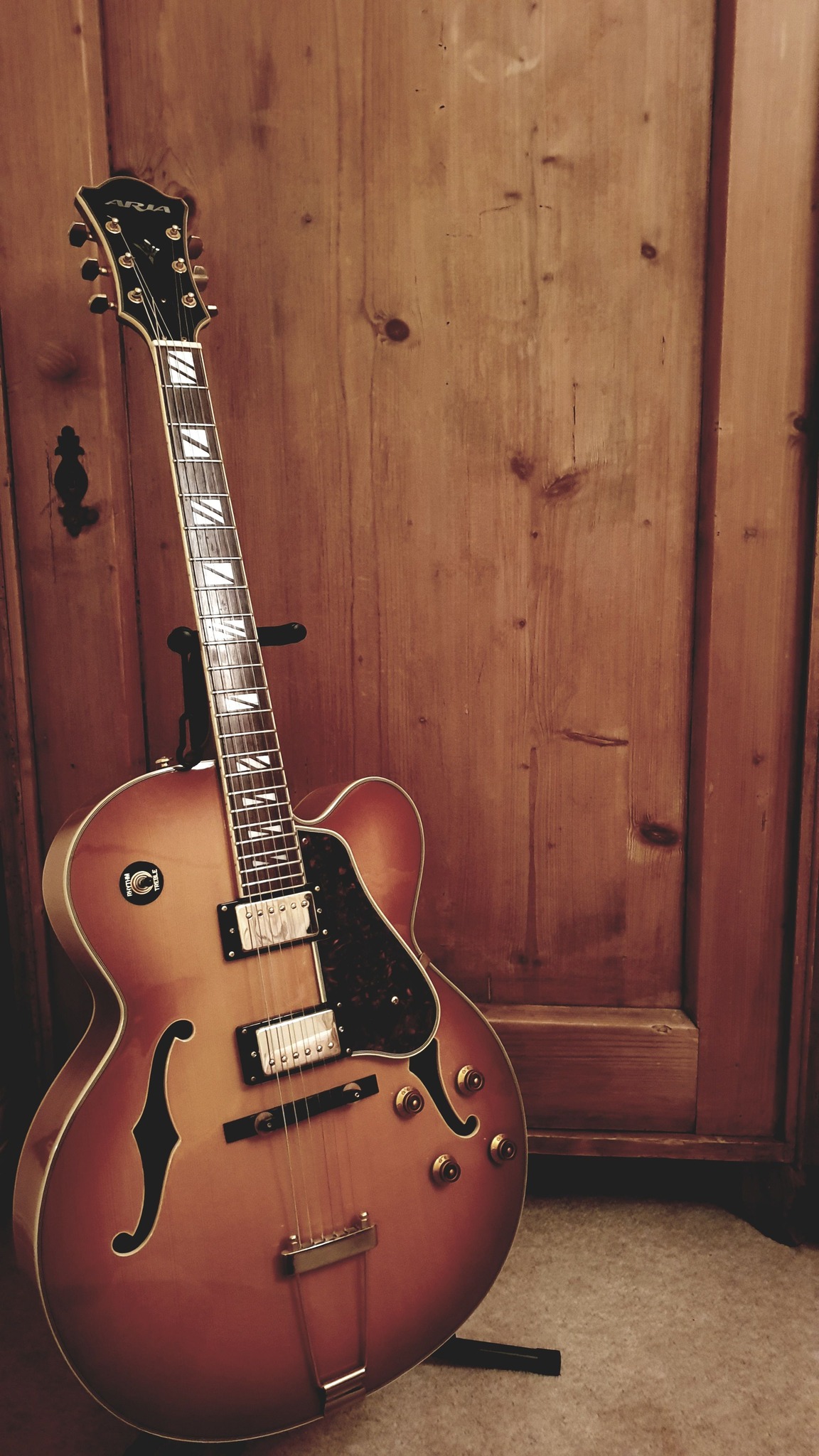 Aria Elecord - Folk Electric FE-70 Sounds great plugged in or
