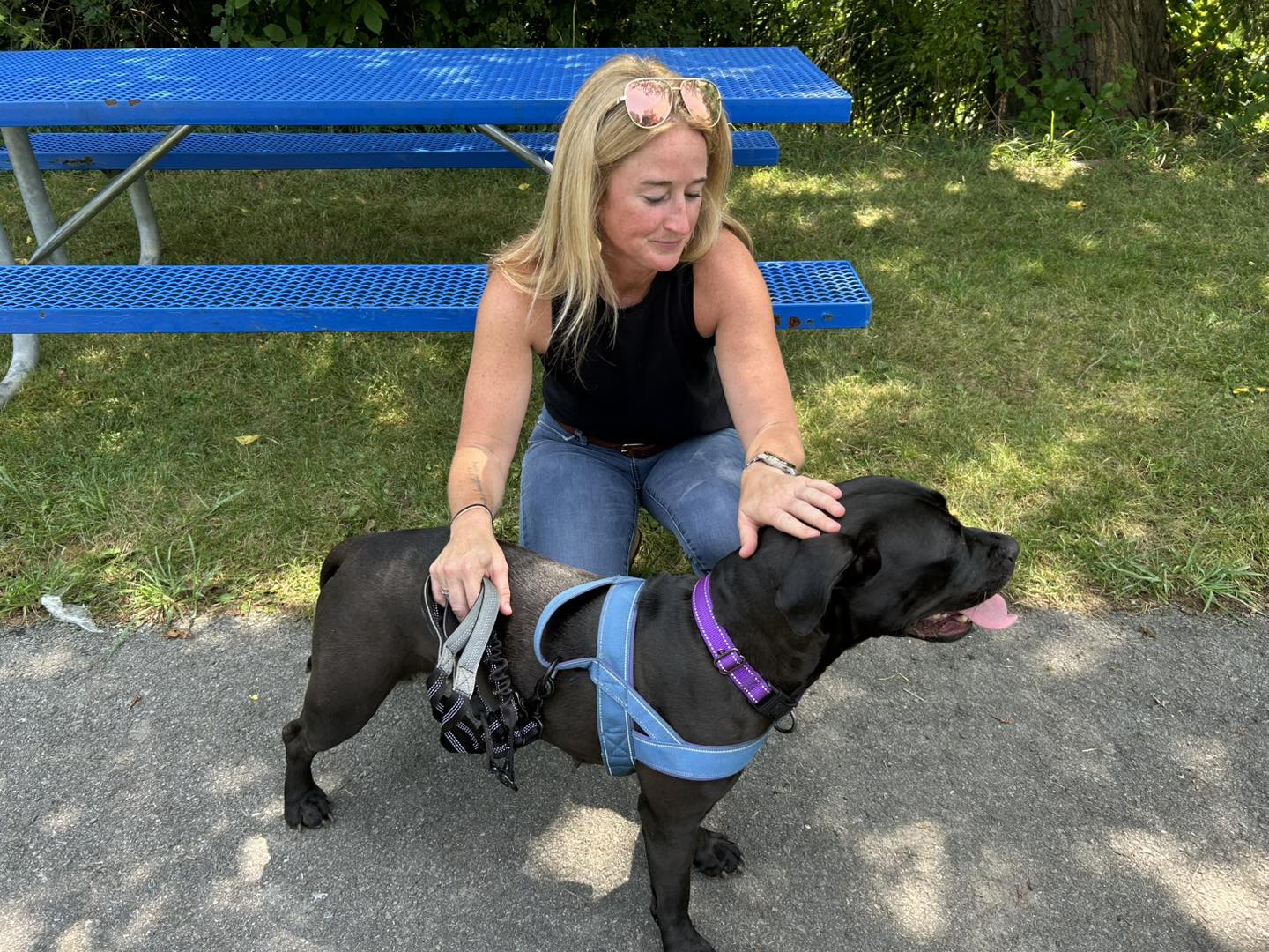 Dog House... - Dog House Adoptions/Pawsome Pups Persevere