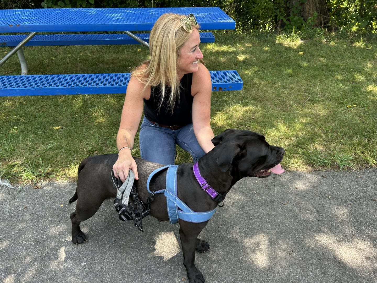 Dog House Adoptions/Pawsome Pups Persevere