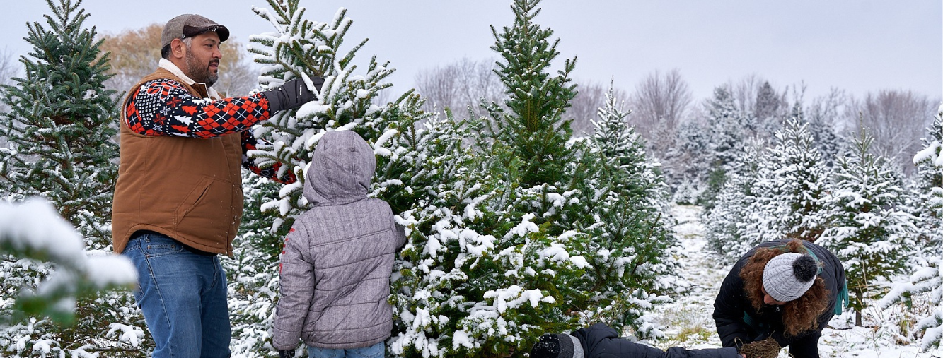 Richardson Cut-Your-Own Christmas Tree Farm | Spring Grove IL