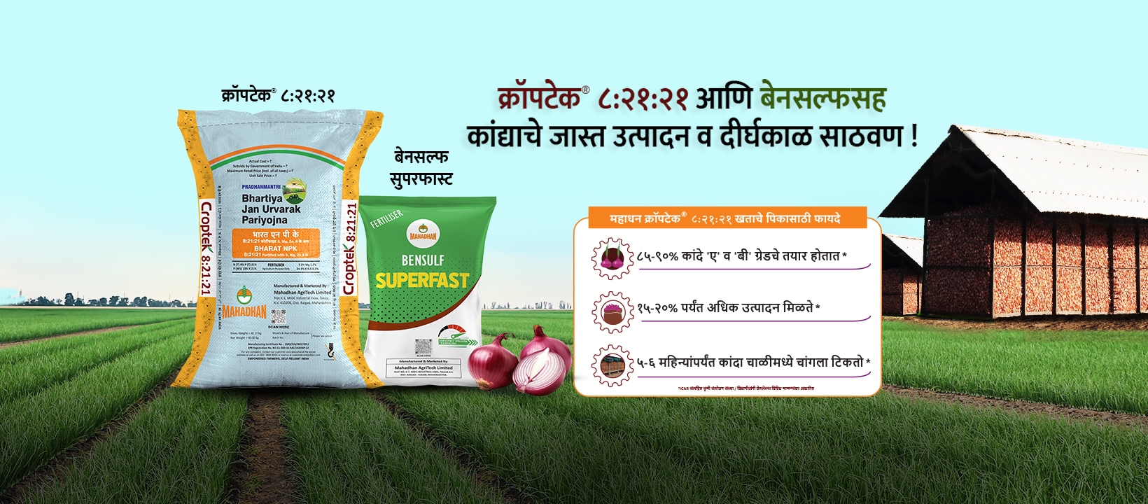 Krushi Kranti - सर्व #हवामानात #टोमॅटोची यशस्वी लागवड मानवाला टोमॅटोची ...