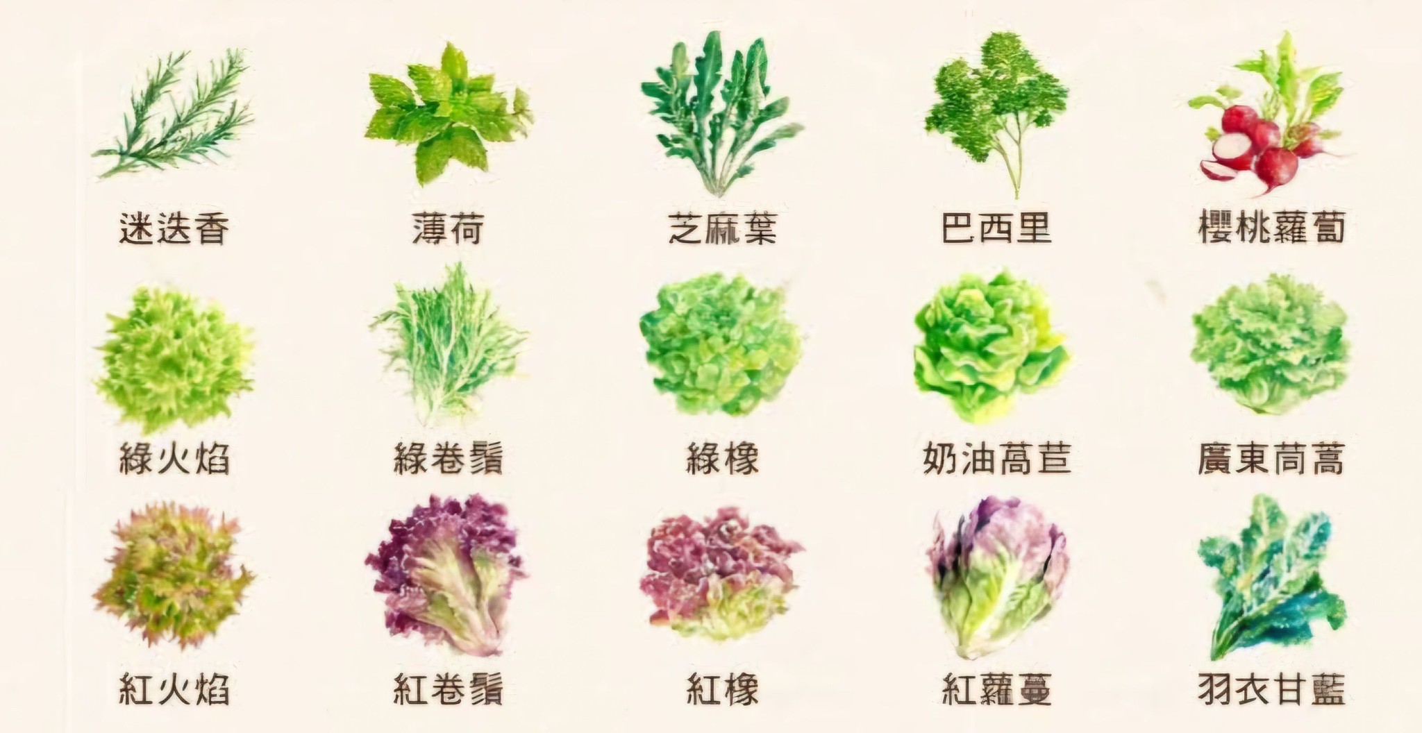 三耕體驗農場 - 三耕體驗農場 added a new photo.