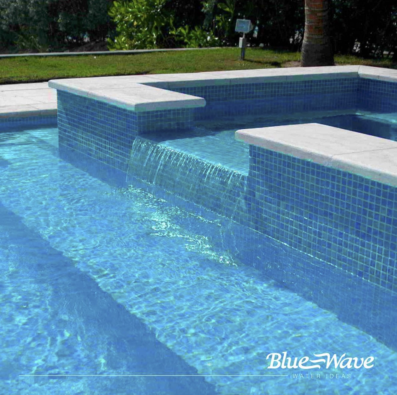 BLUE WAVE | San Luis Potosí