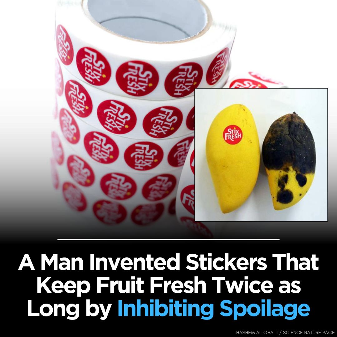 StixFresh Stickers Keep Fruit Fresh 2x... - Hashem Al-Ghaili | Facebook