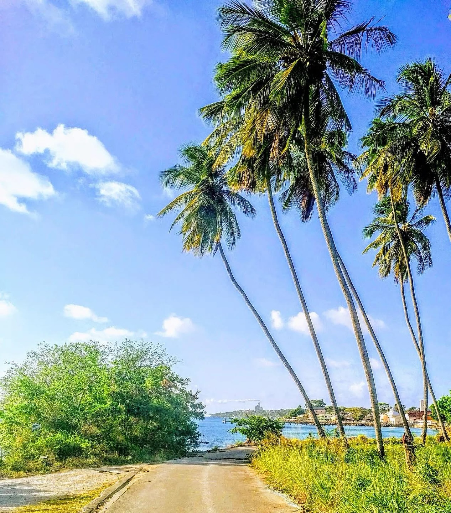 Beautiful - A Clear Day at Speightstown🌞🌴🏖️ Tropicality just below ...