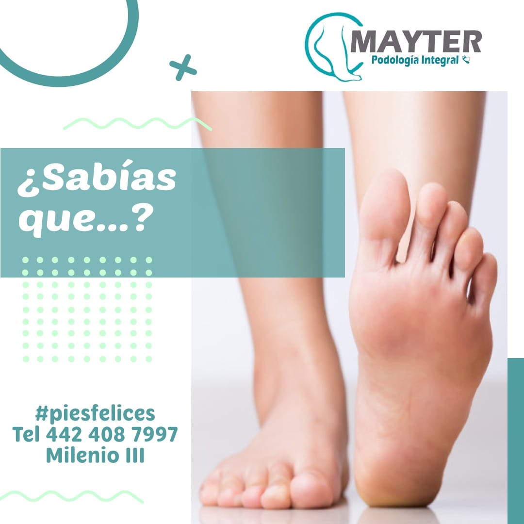Sabías... - Podologia Integral Mayter Enfermera y Podologa