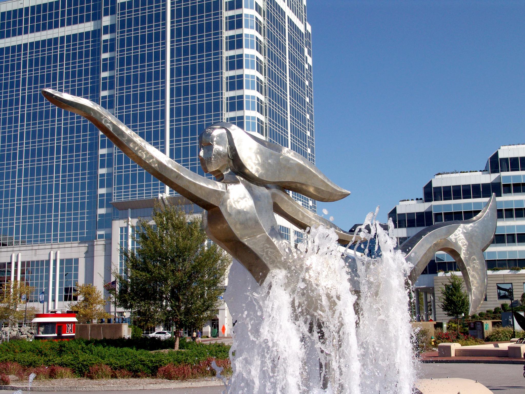 Jackson Nelson, PLLC | Norfolk VA