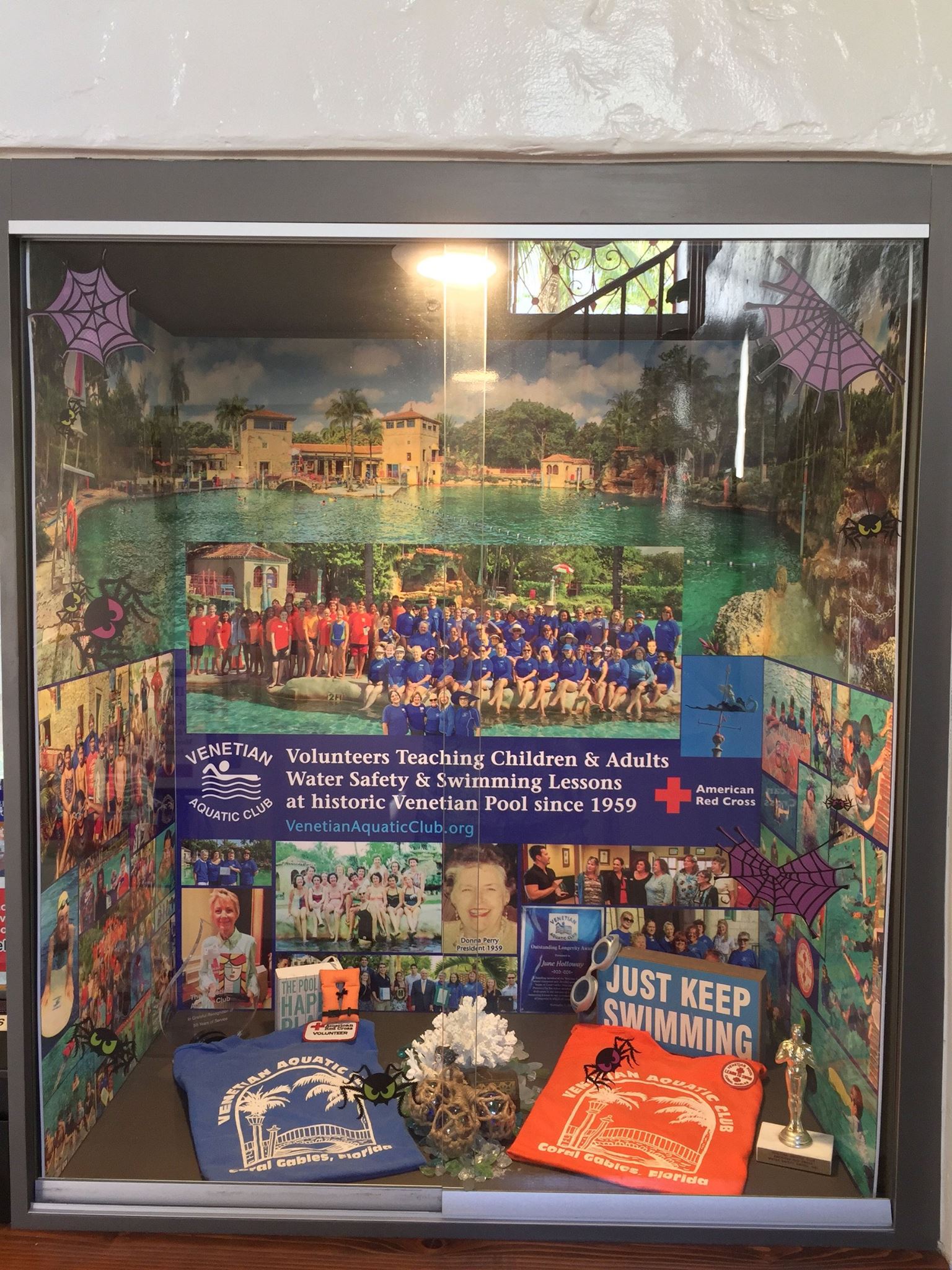 The display case in the front of... - Venetian Aquatic Club | Facebook