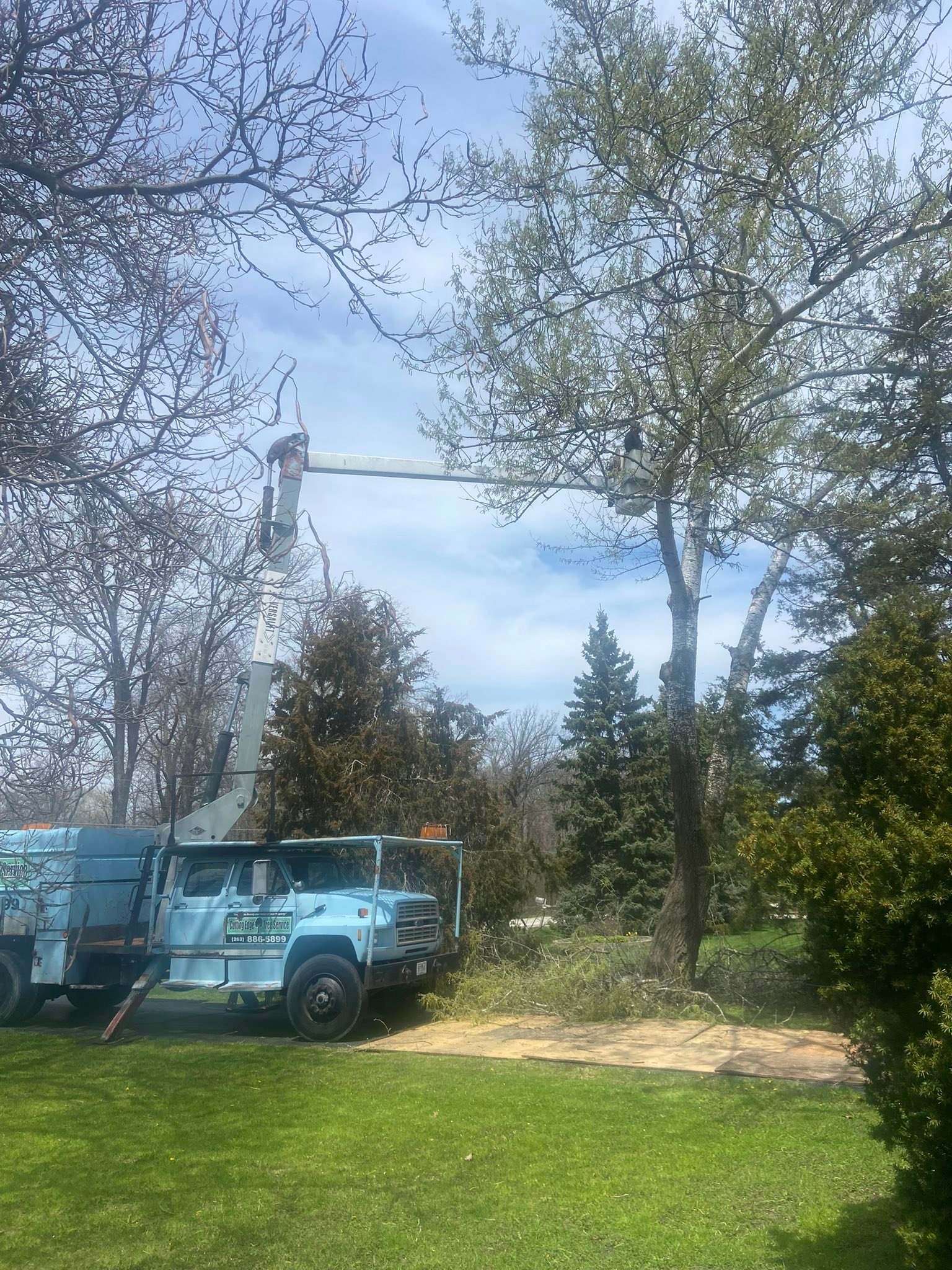 Cutting Edge Tree Service | Racine WI