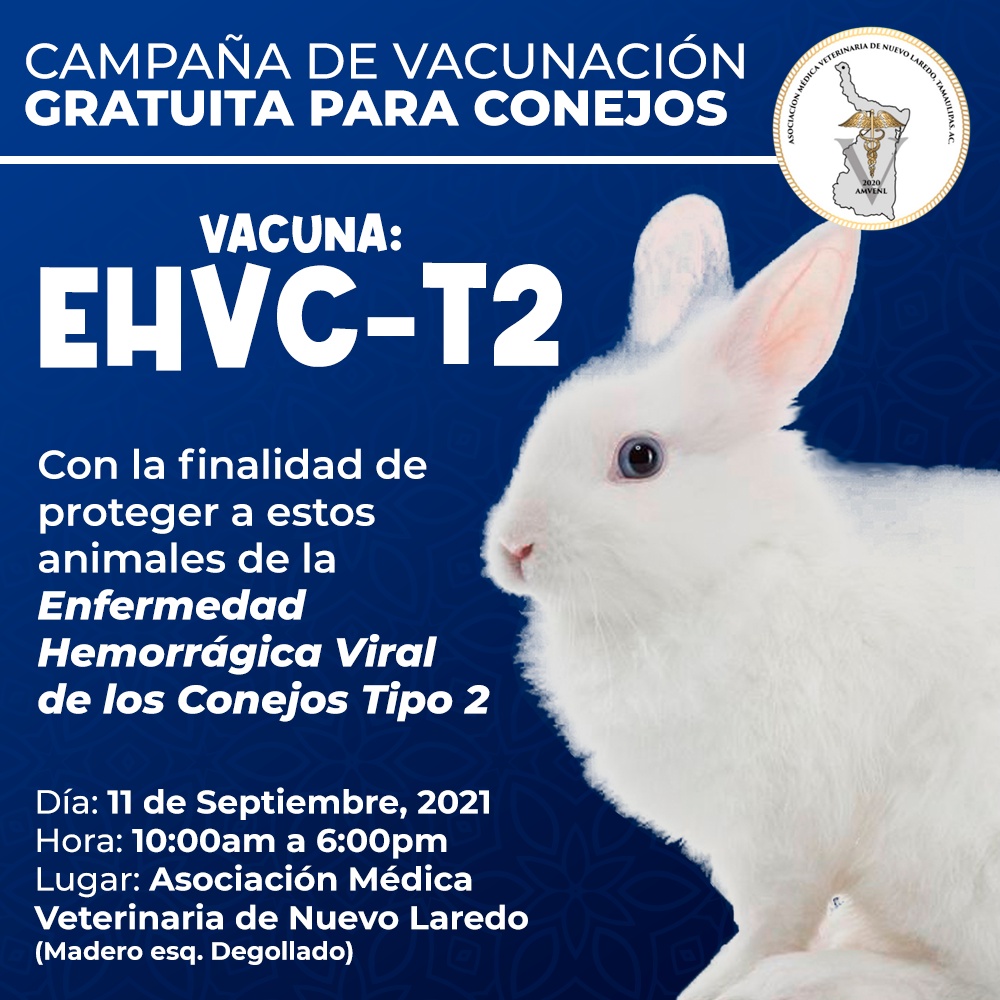 Campaña de Vacunación gratuita para conejos Vacuna EHVC-T2
