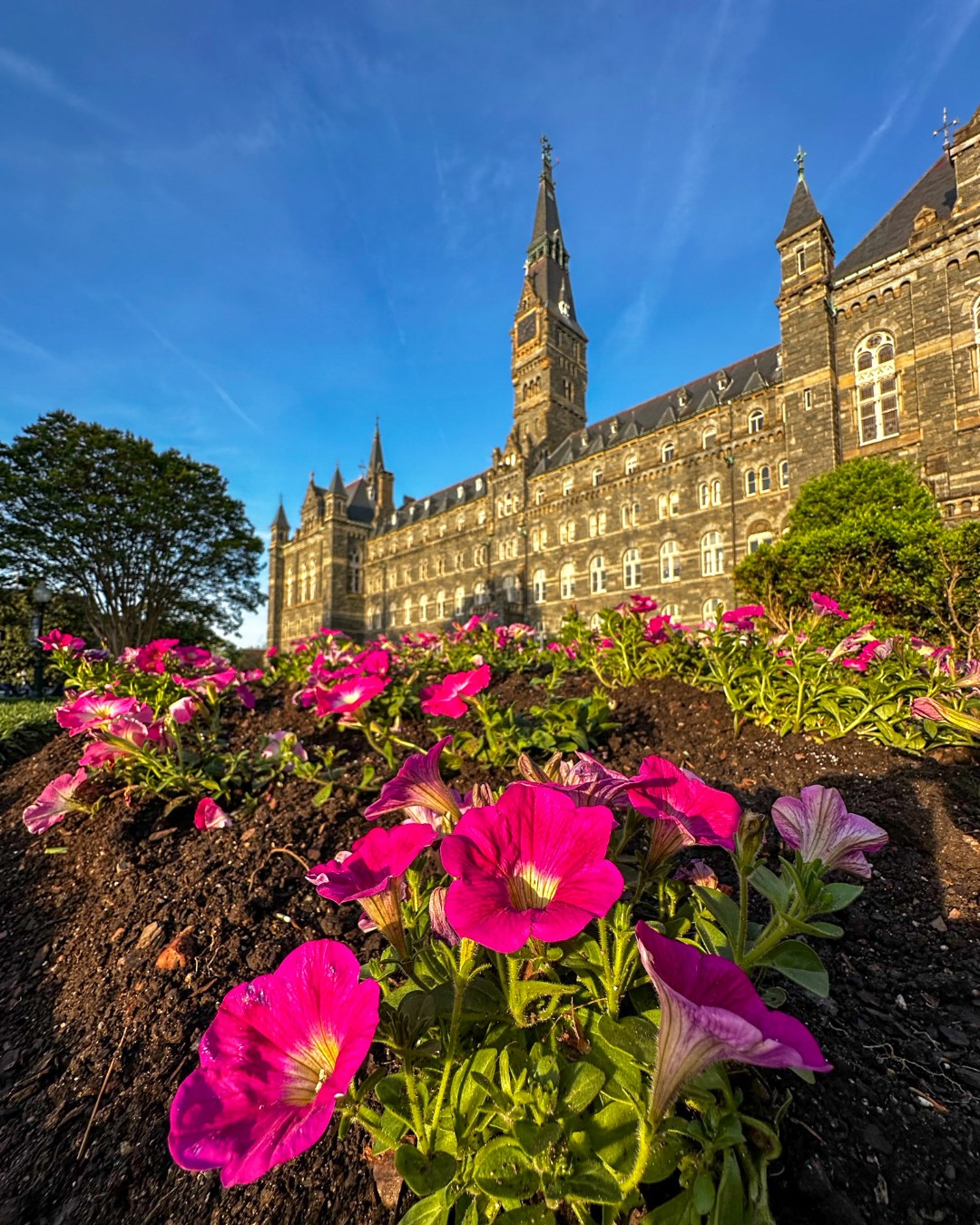 Happy Mother's Day! To all the... - Georgetown University | Facebook