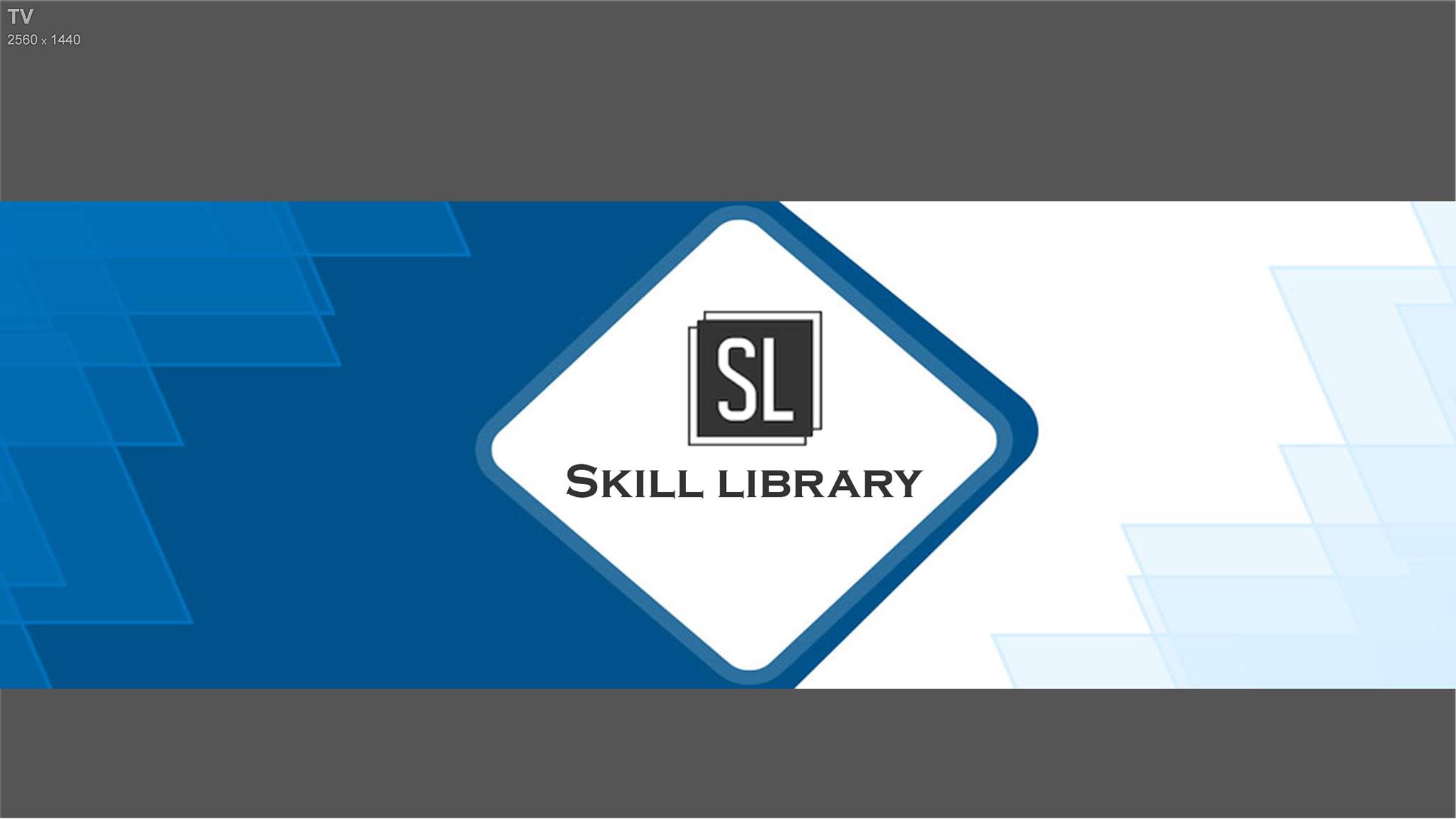 Skill Library