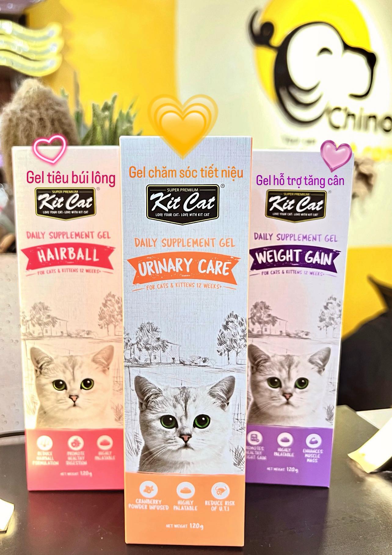 ChinoPet - 🐈Gel chức năng Kit Cat cho mèo là một loại thực phẩm chức ...