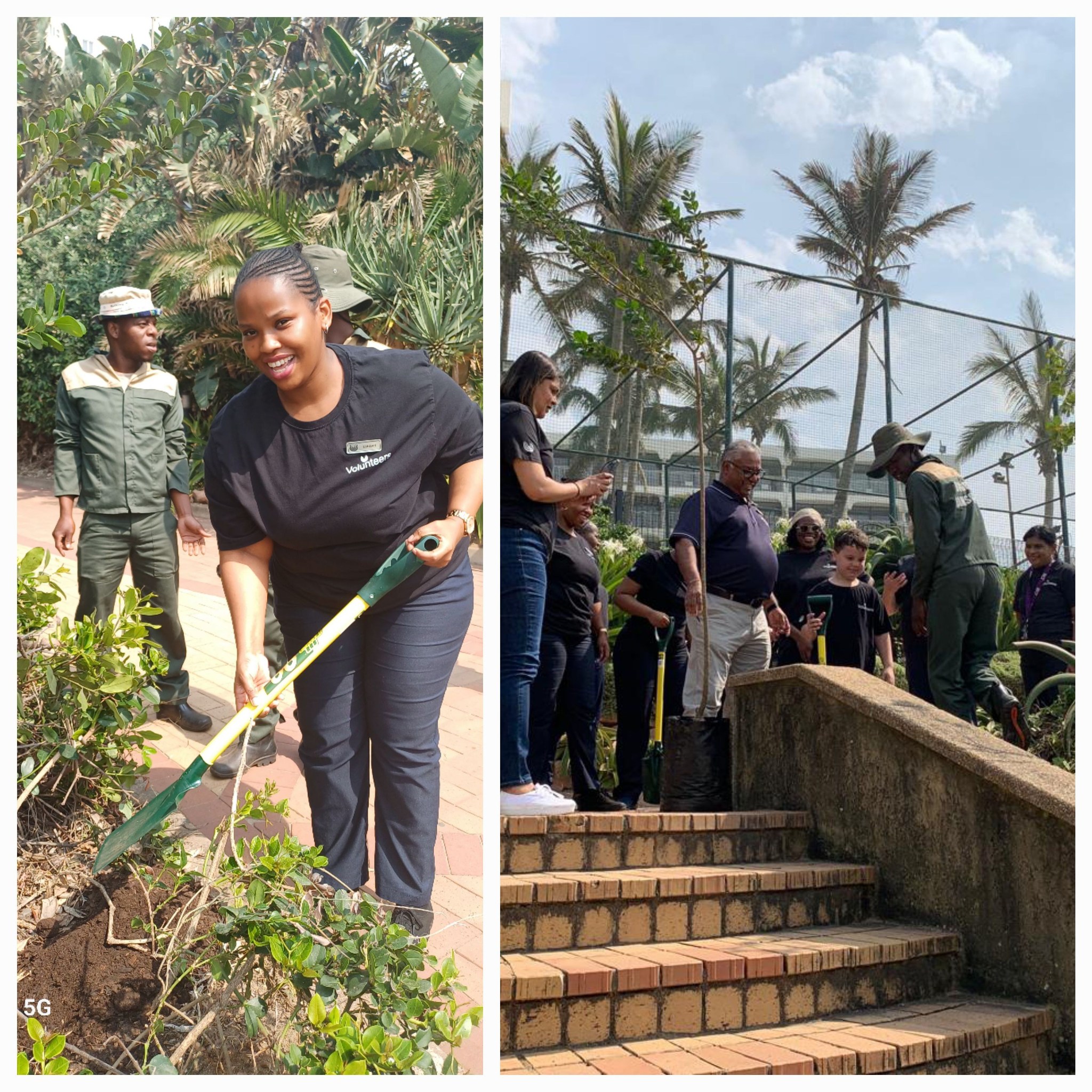 It's Arbor week!!! 🌳 The uMhlanga... - Umhlanga Sands Resort | Facebook