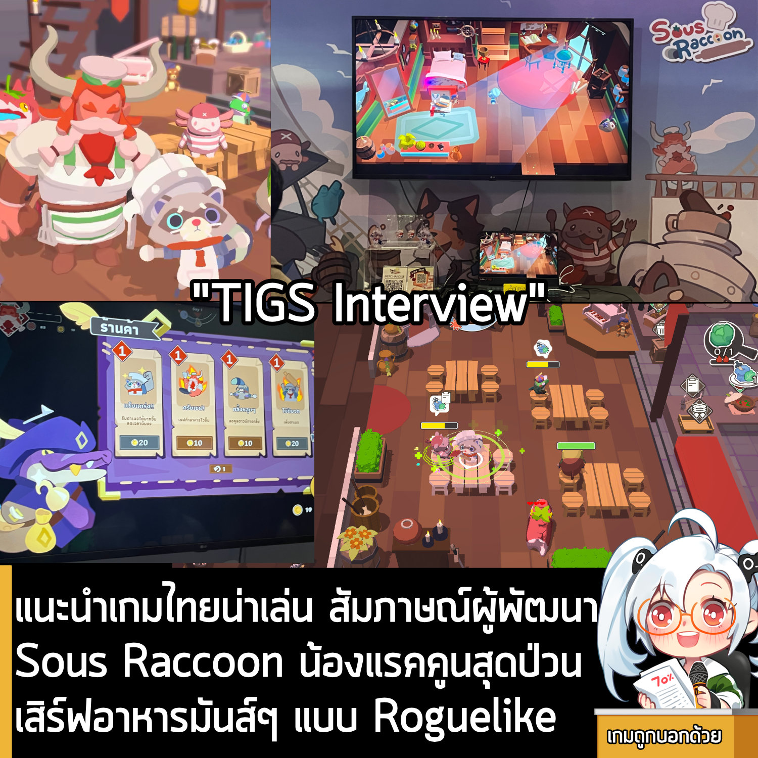 Sous Raccoon | Changwat Samut Prakan