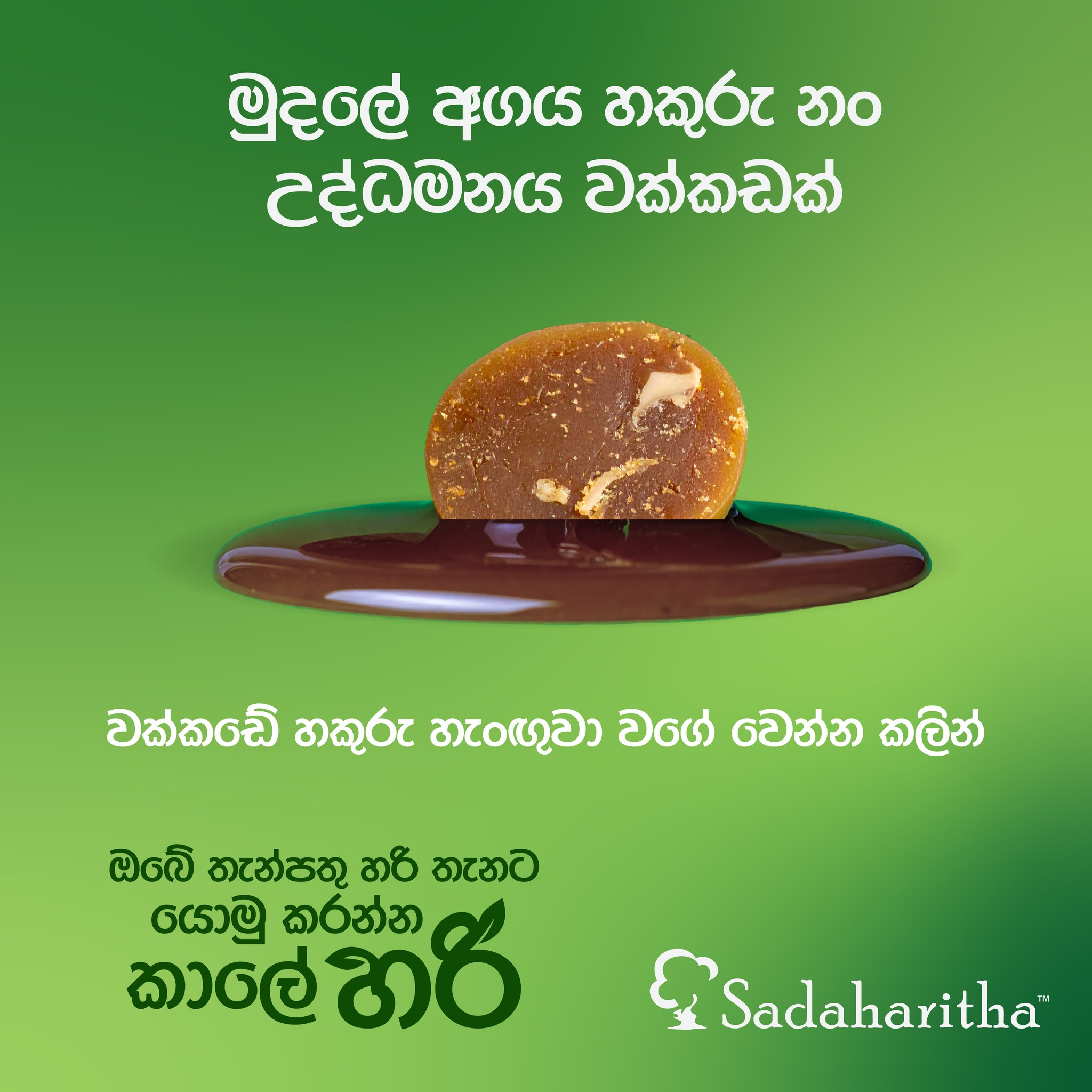 Sadaharitha Plantations Limited | Colombo