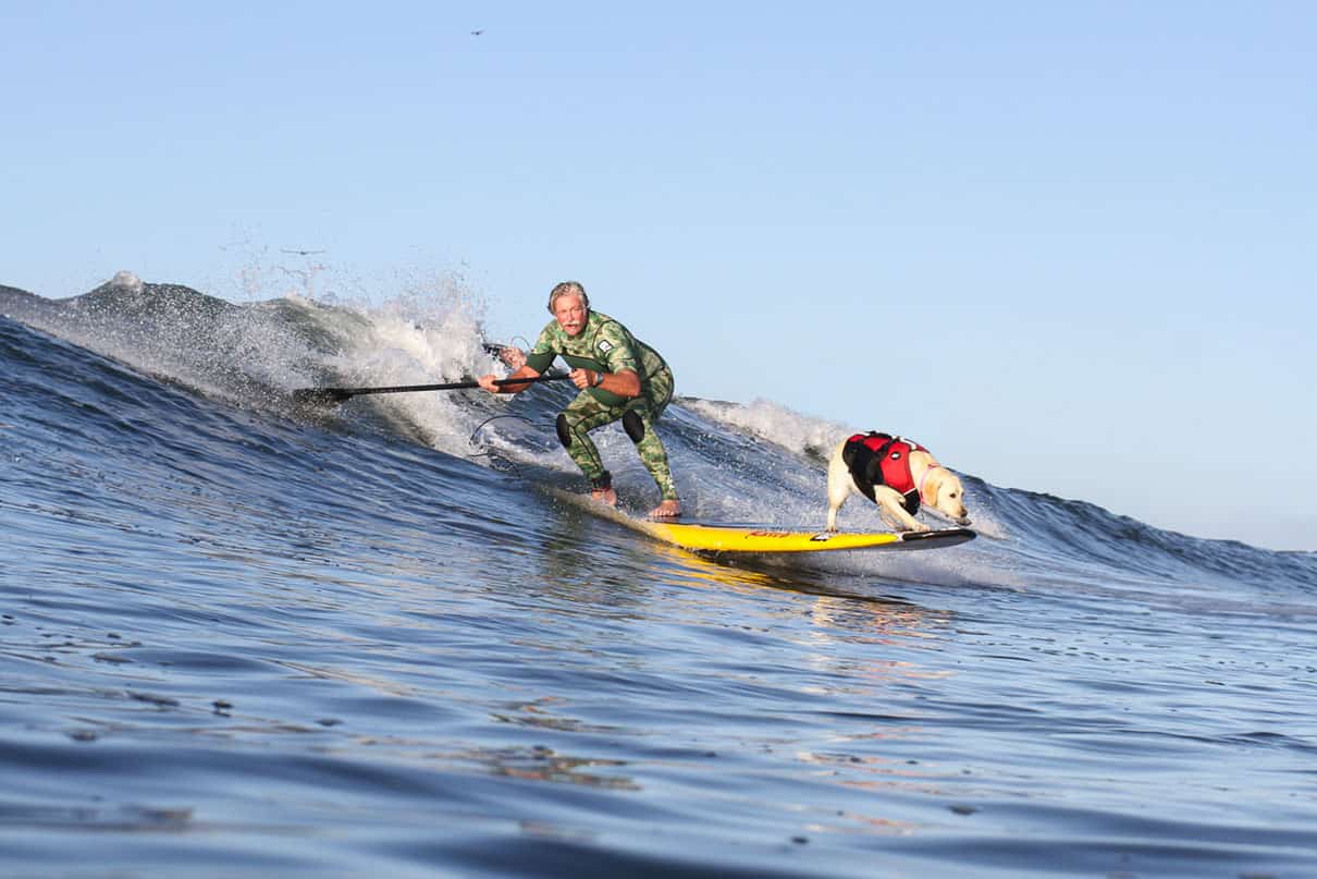 Paddling - Meet Viral SUP Surf Star Rippin’ Rosie | Santa Cruz ...